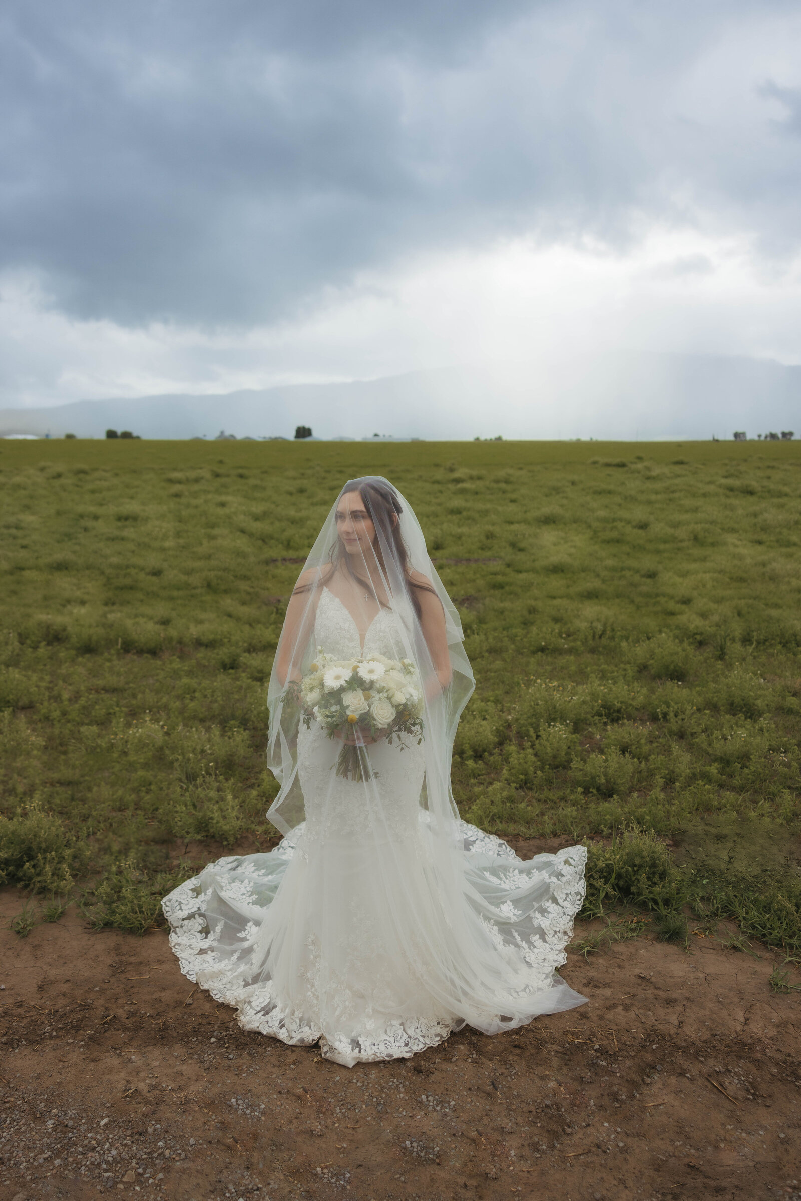 Bride stands in a field with her veil over her head