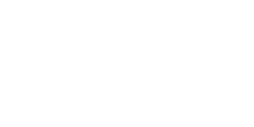Styling-Boulevard_500x250