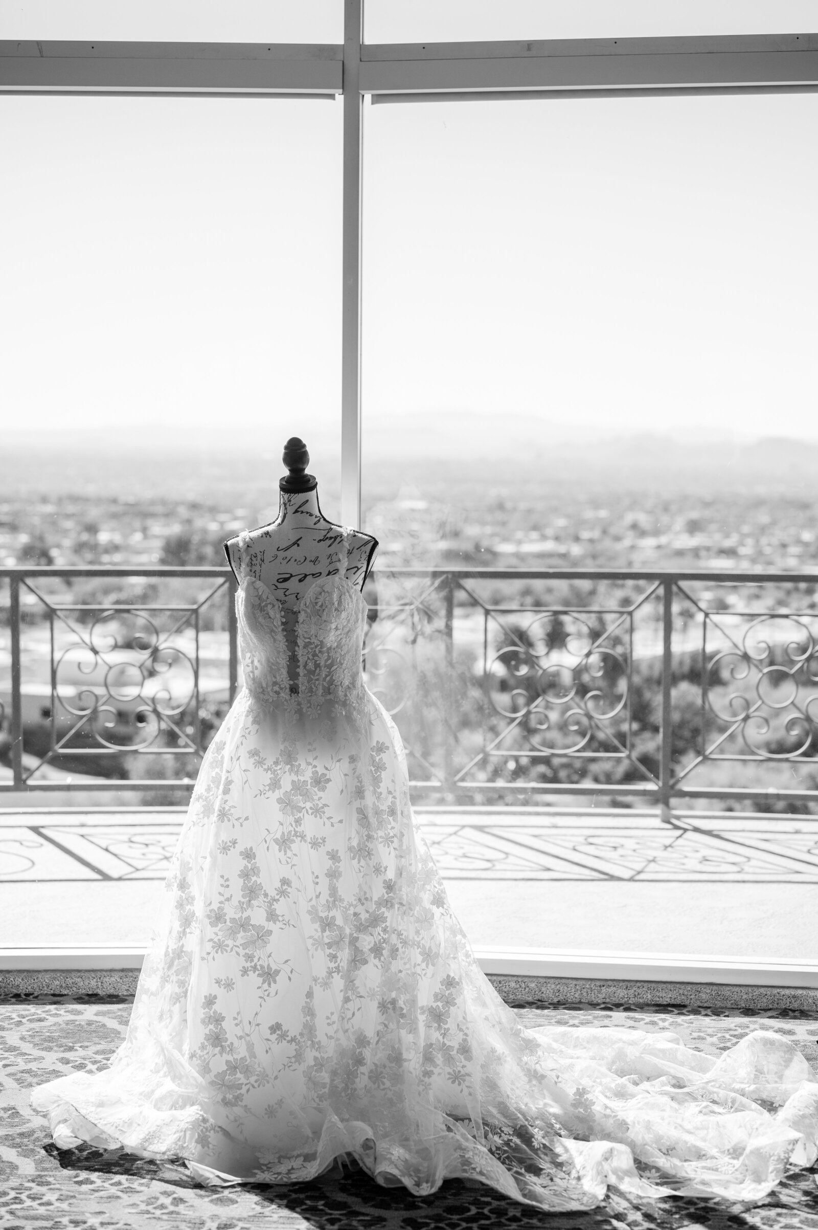 Virginia Wedding PhotographerDSC_3348