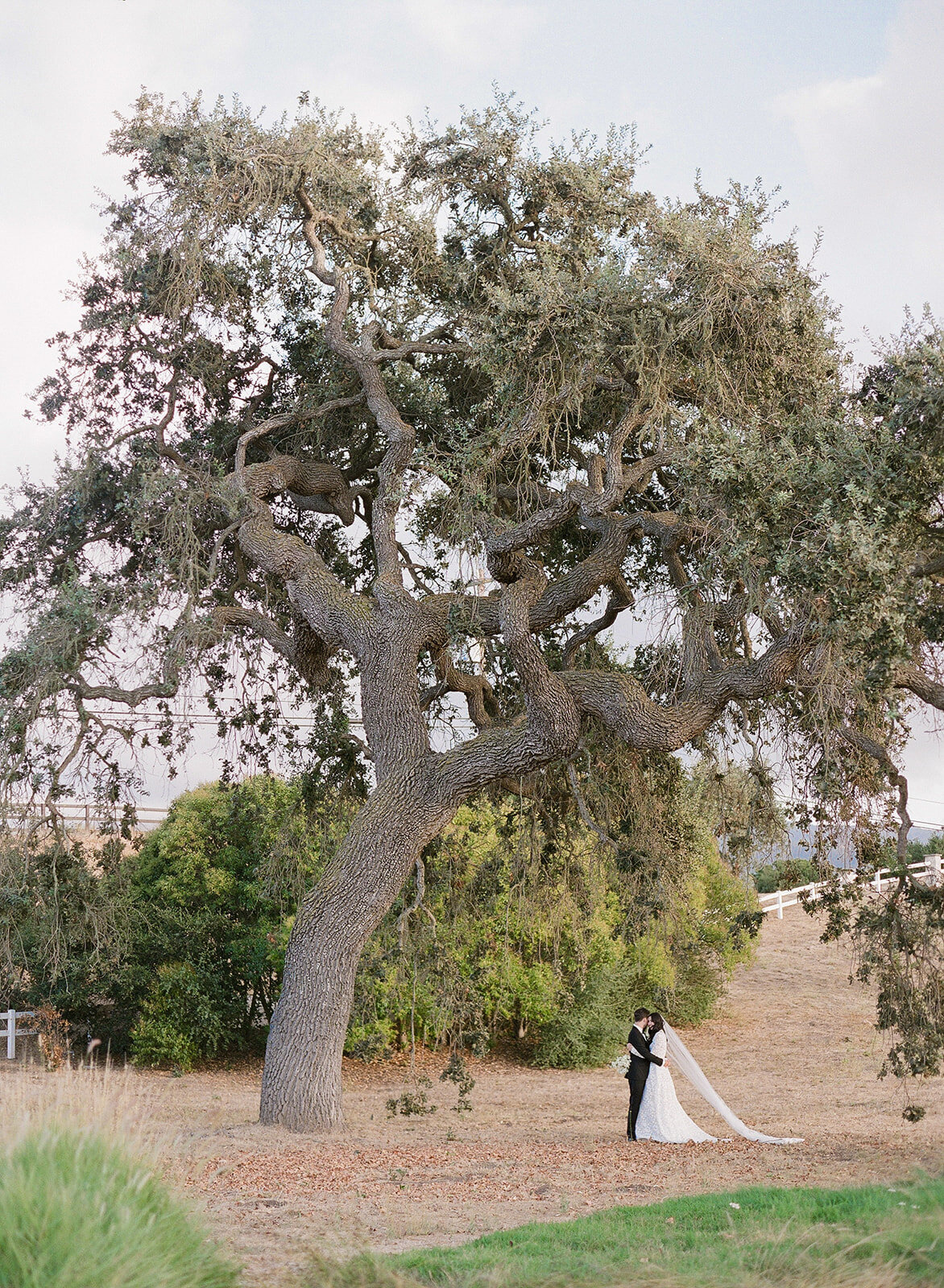 95-Brave-and-Maiden-Santa-Ynez-Wedding-Hannah-Quintana-Photography