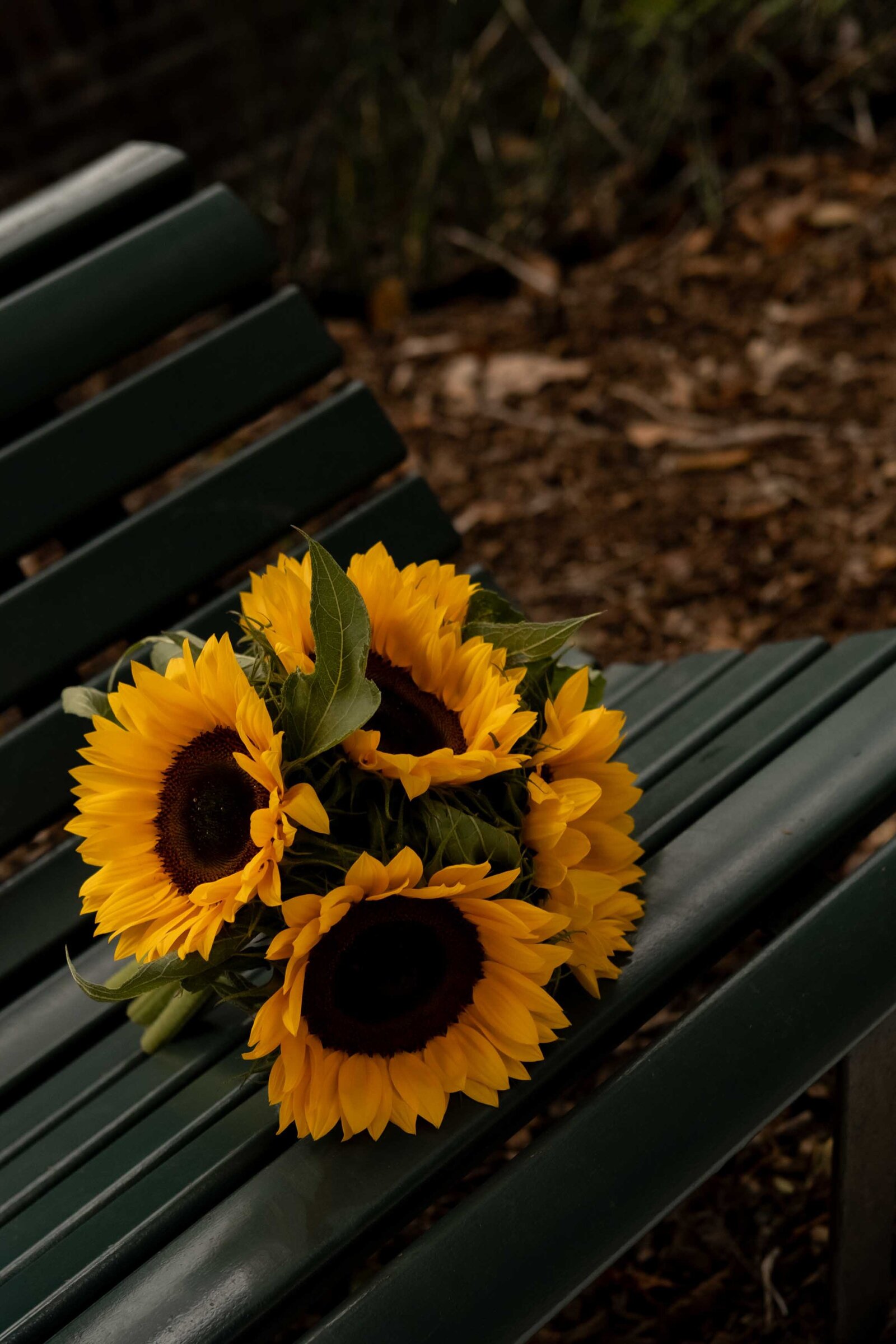 FOMO-Fotografie-Wedding-Photographer-K&B-24