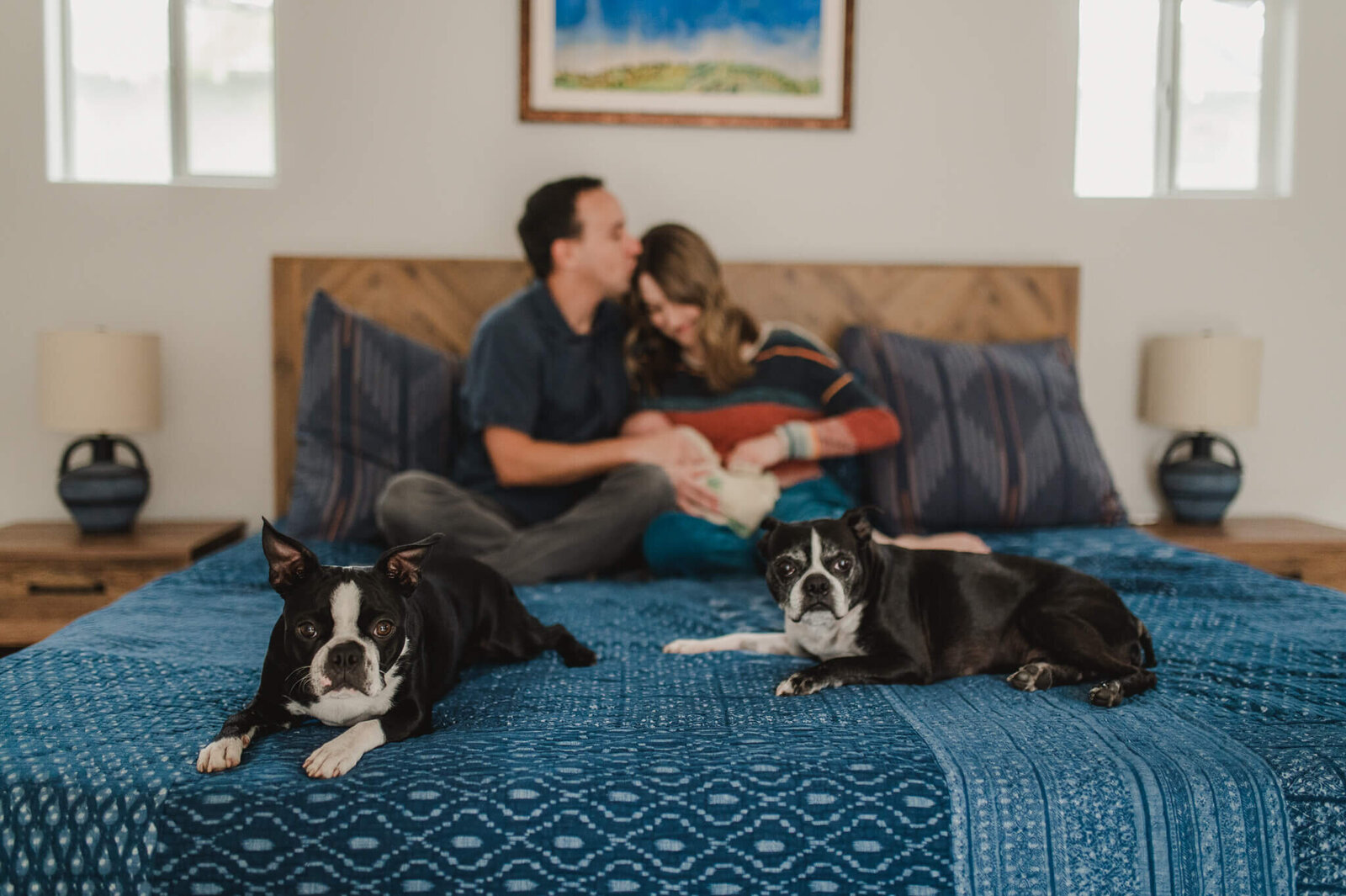 mom and dad snuggle their newborn daughter on their bed while two dogs sit at the foot of the bed looking at the camera