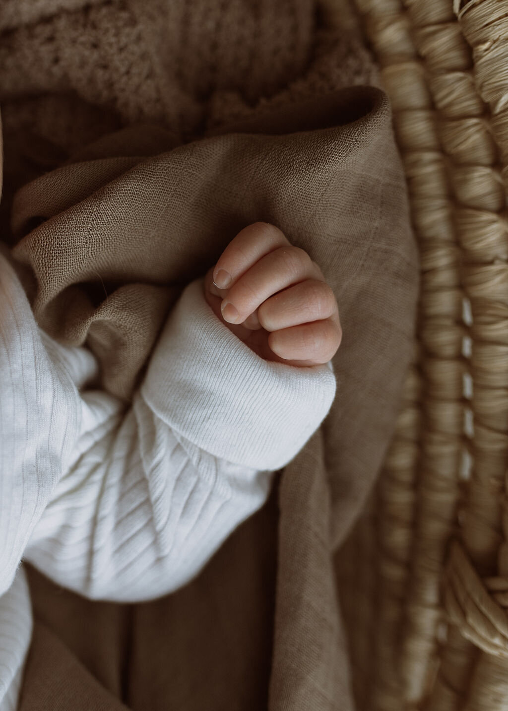 AbigailElizabethPhoto-3892