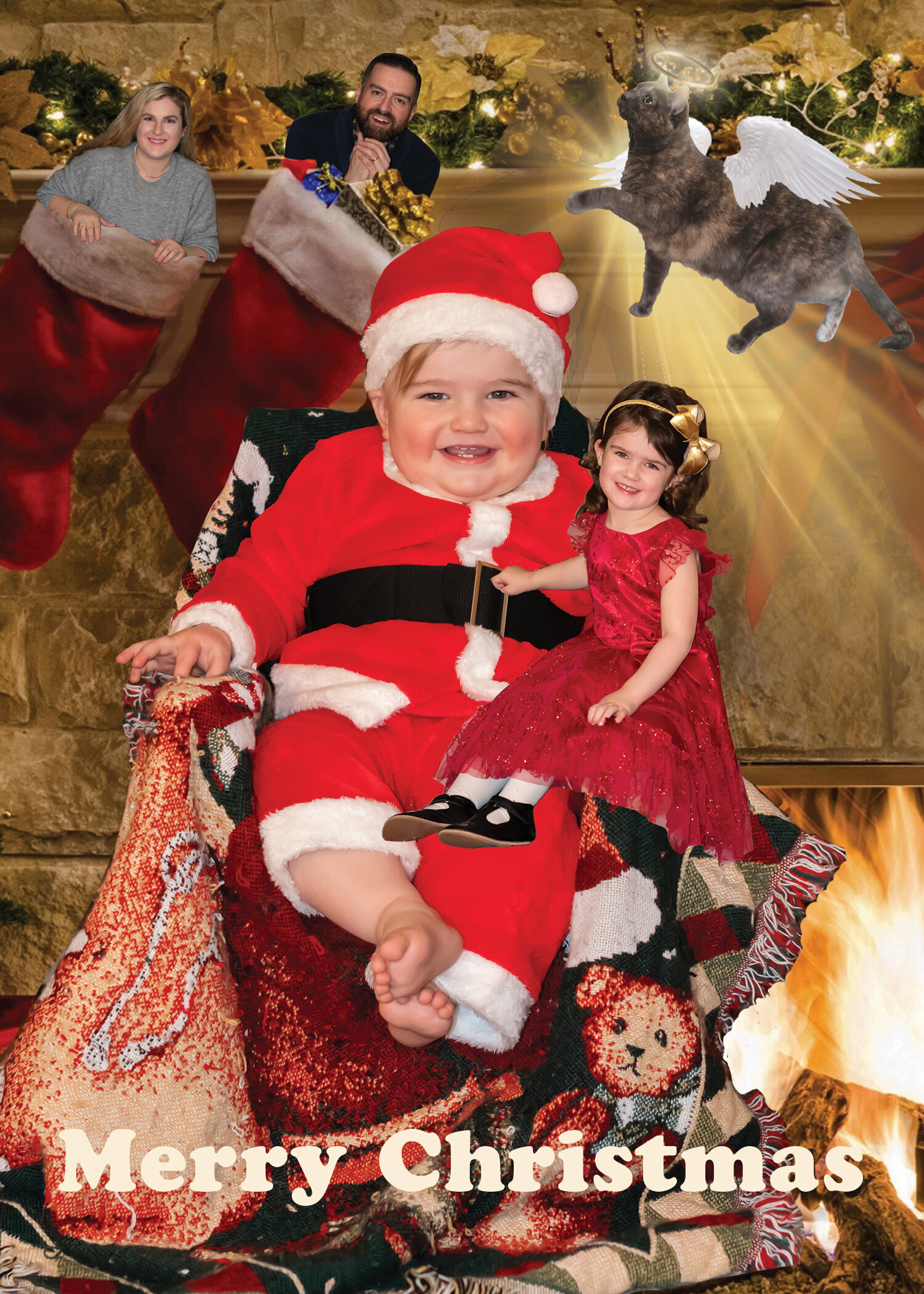 SHELVOCK XMAS CARD complete 2022