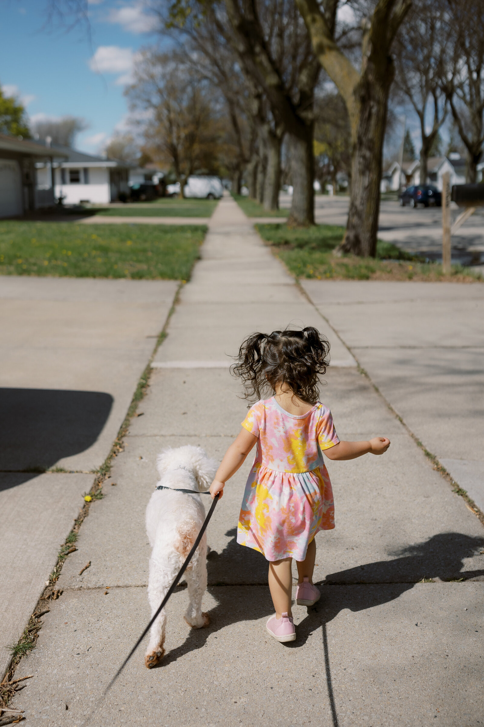 family website-25