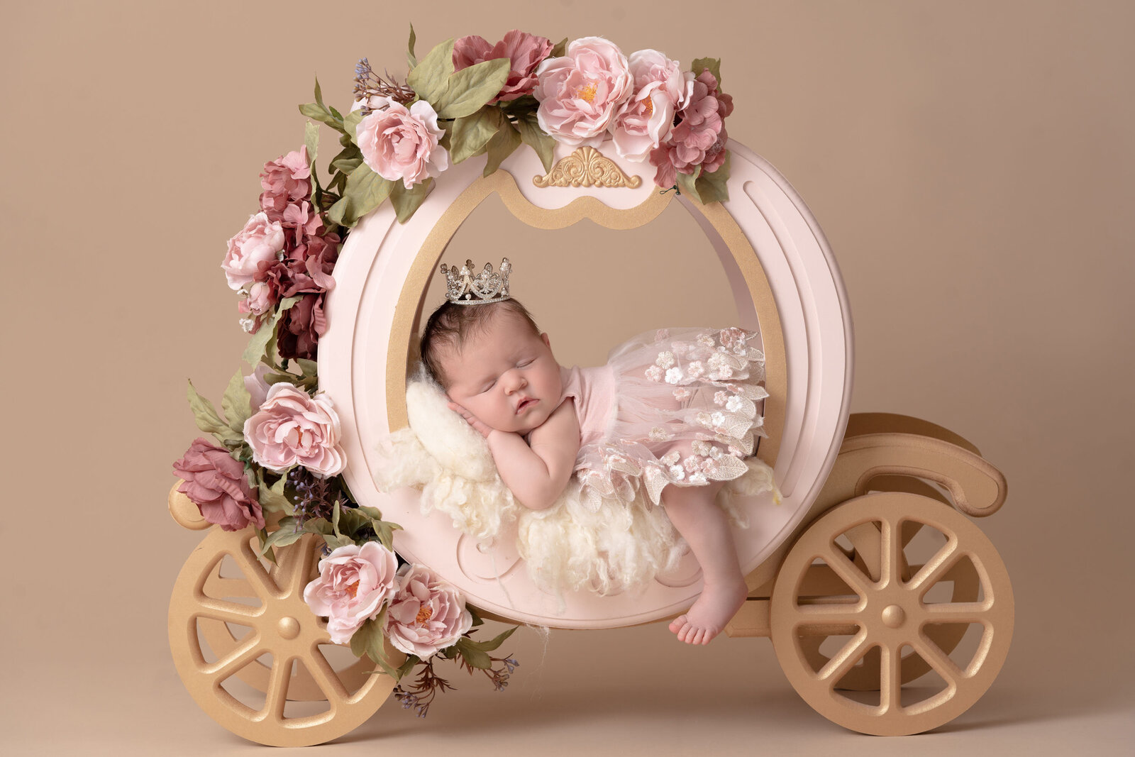 SteinArtStudio Newborn Elena Milanovic-51