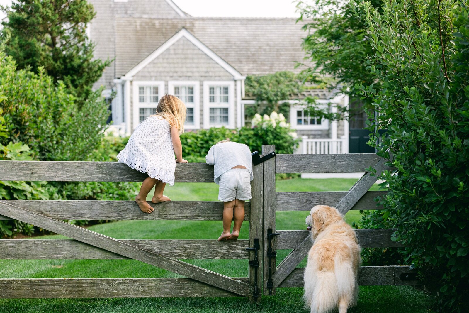 siblings and golden retriever at gate