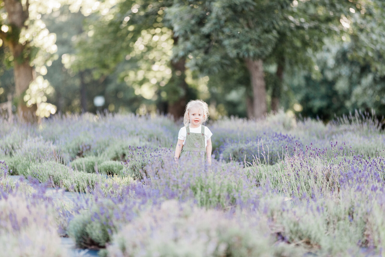Little girl in green overall dress in a field of lavender by NH newborn photographer Fieldstone Studio.