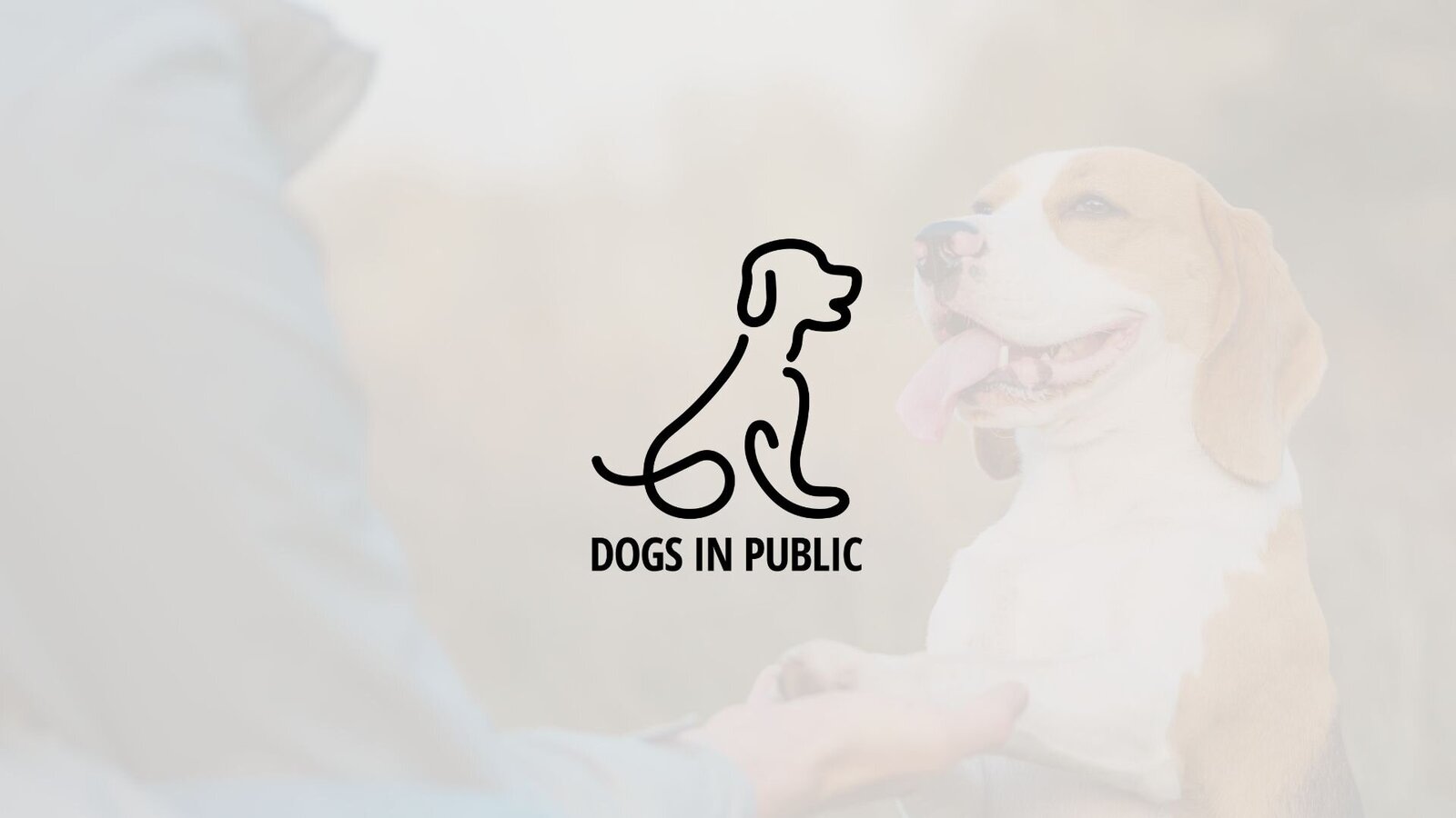 Dogs In Public Branding Overview