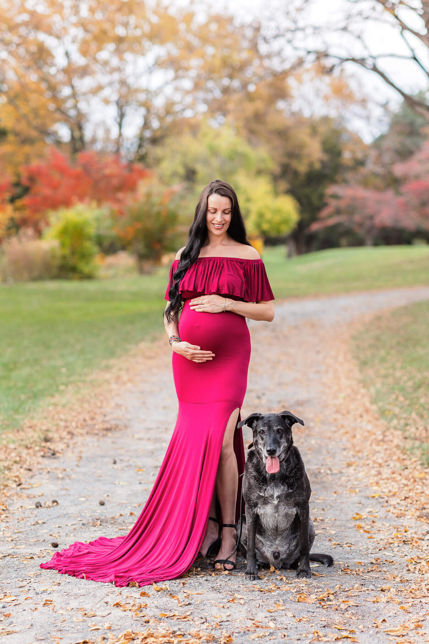 A mother-to-be in a red dress with her black dog at a park in the fall.
