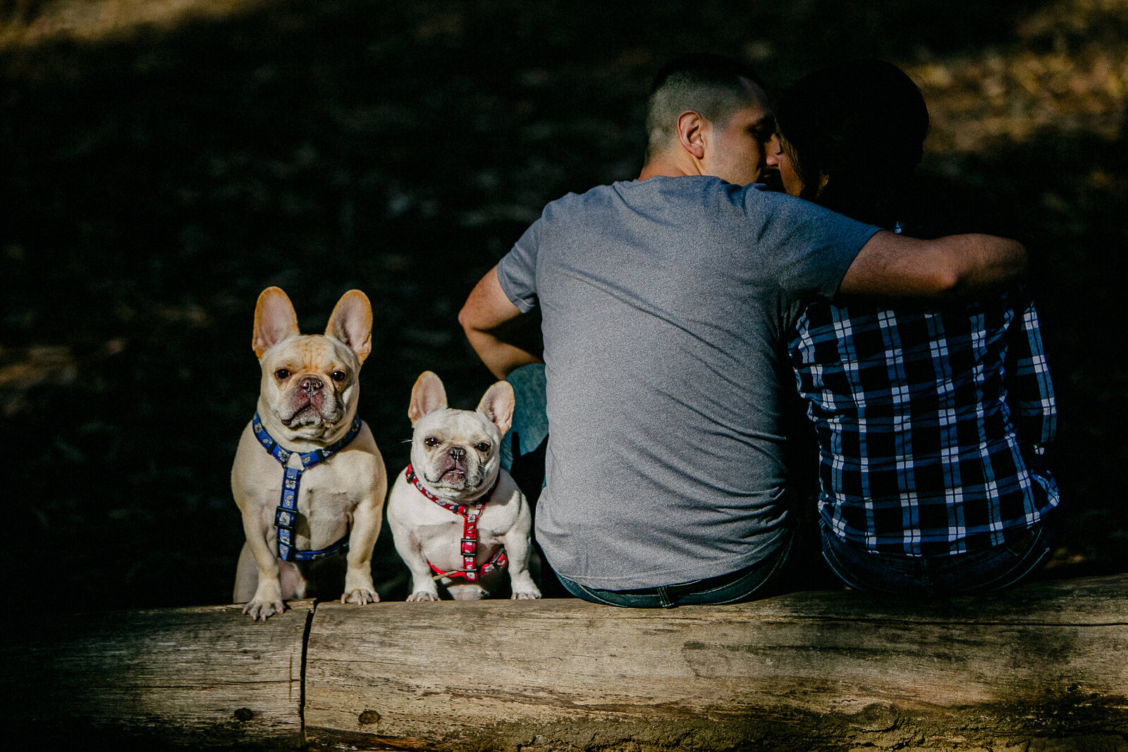 presidio- engagement- -session01