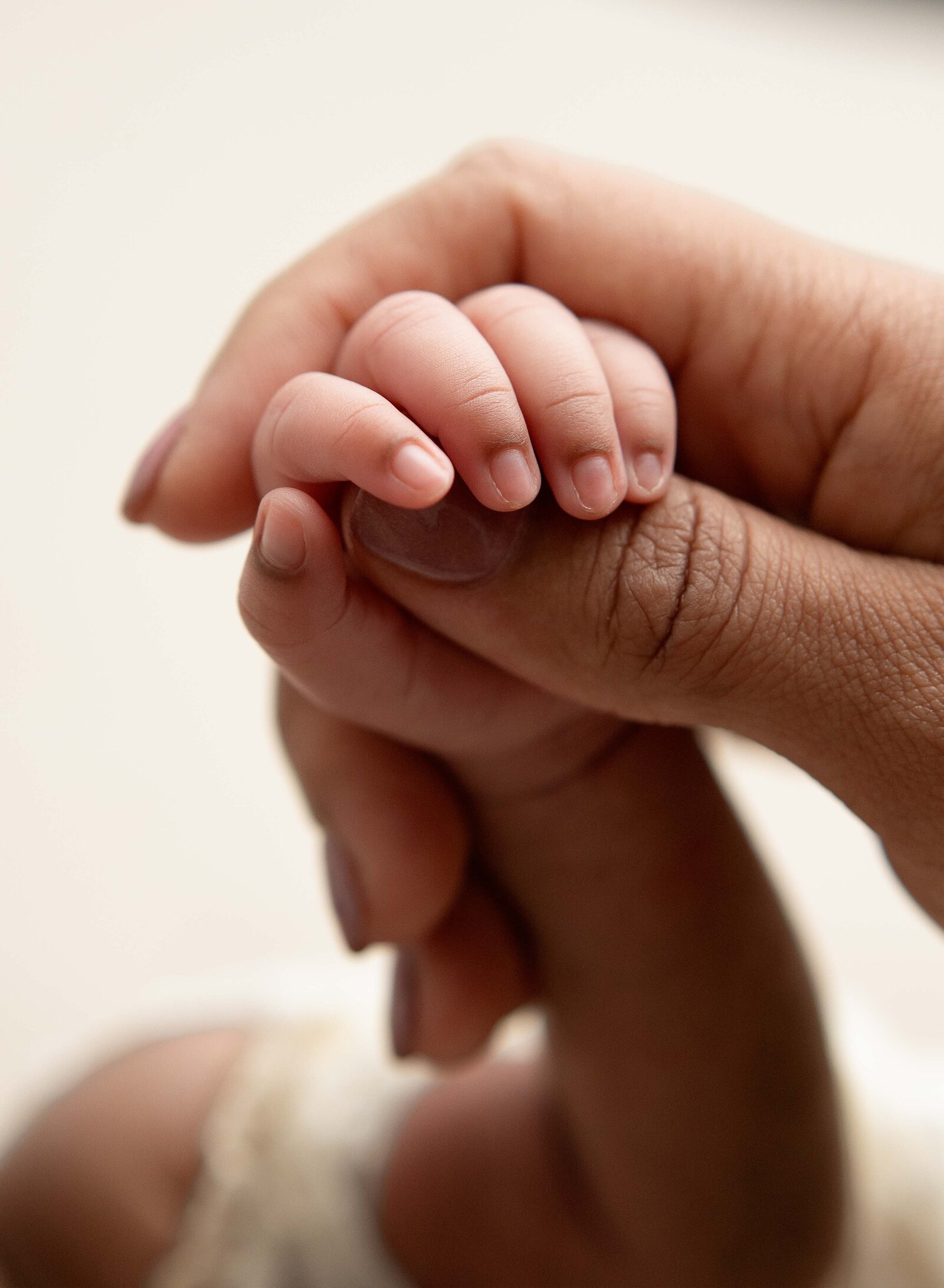 Macro shot of Mom holding baby girl's hand. Photographed by Jenni Nikki Photography at Marietta Newborn Photo Studio.