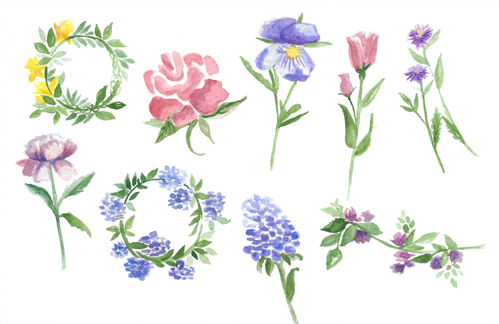 Floral Watercolors for ClipArt Part 2