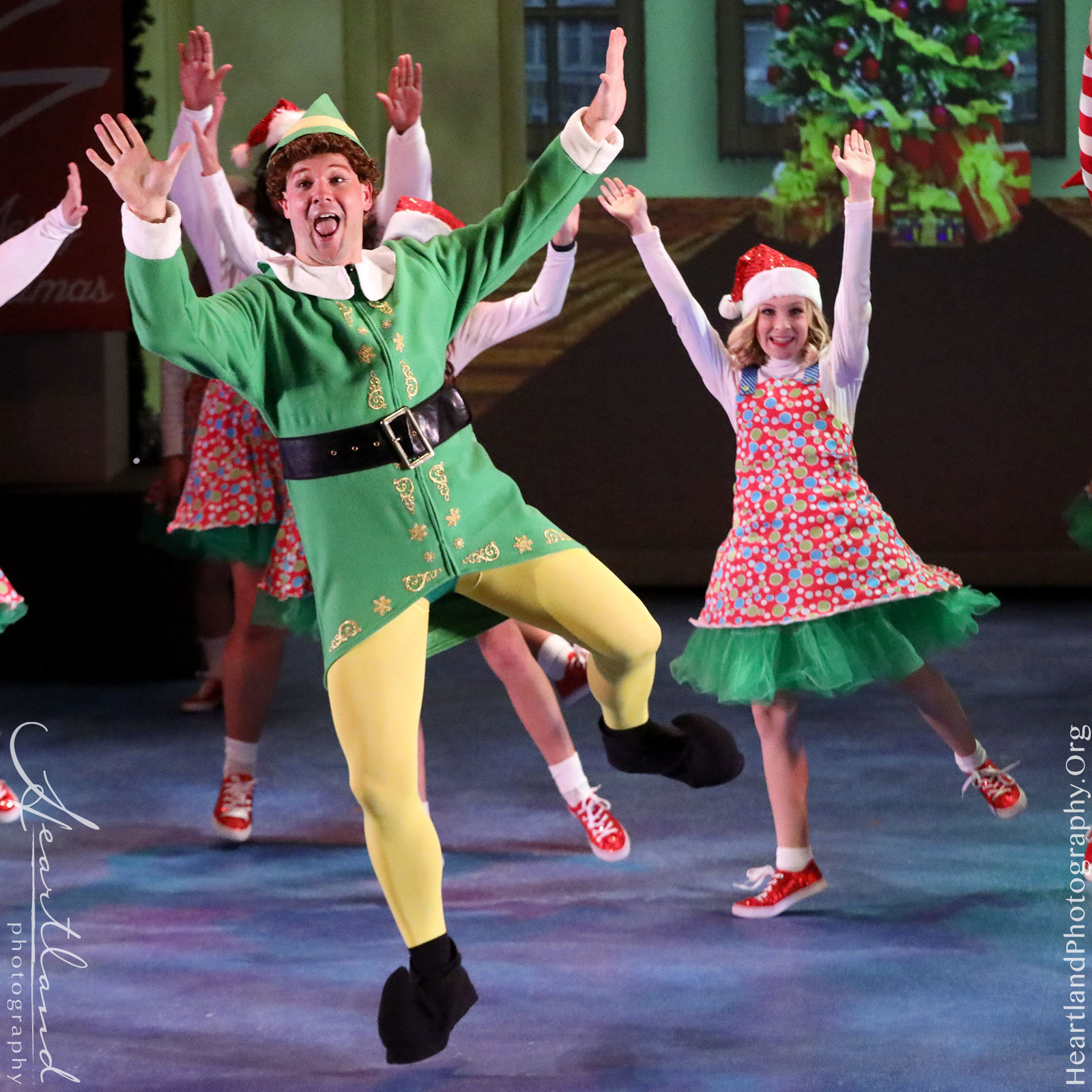 web-2018_SCT_Elf_018