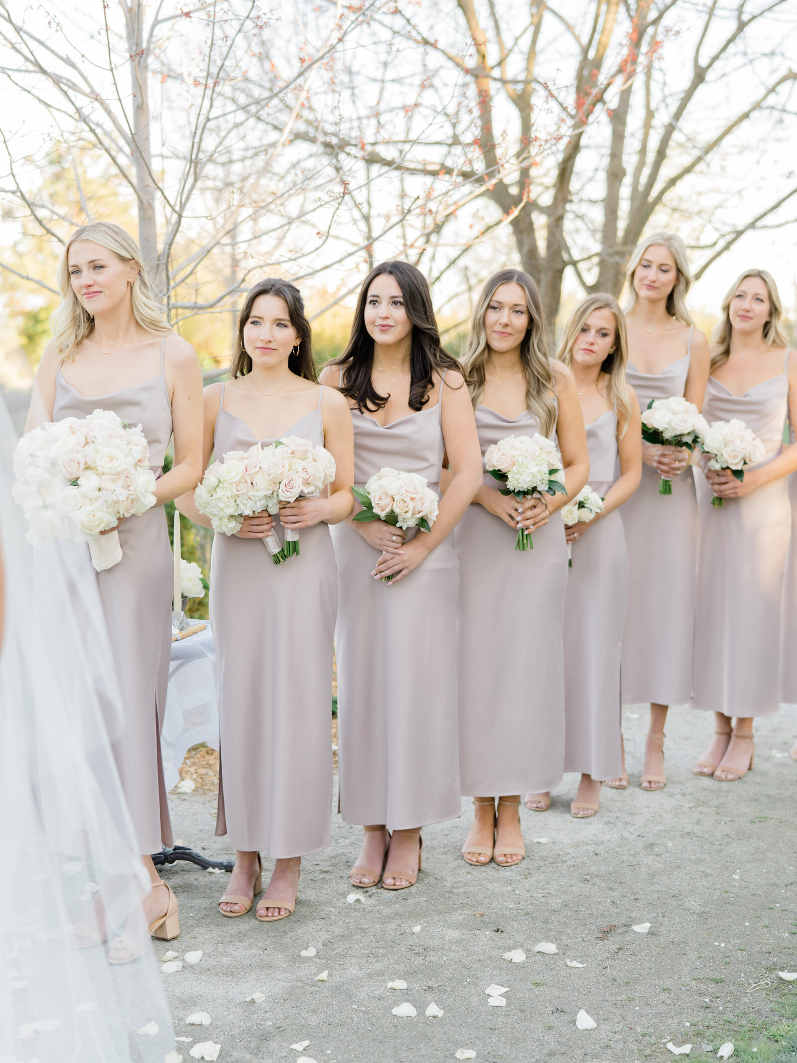 bridesmaids in light beige  gowns at the ceremony