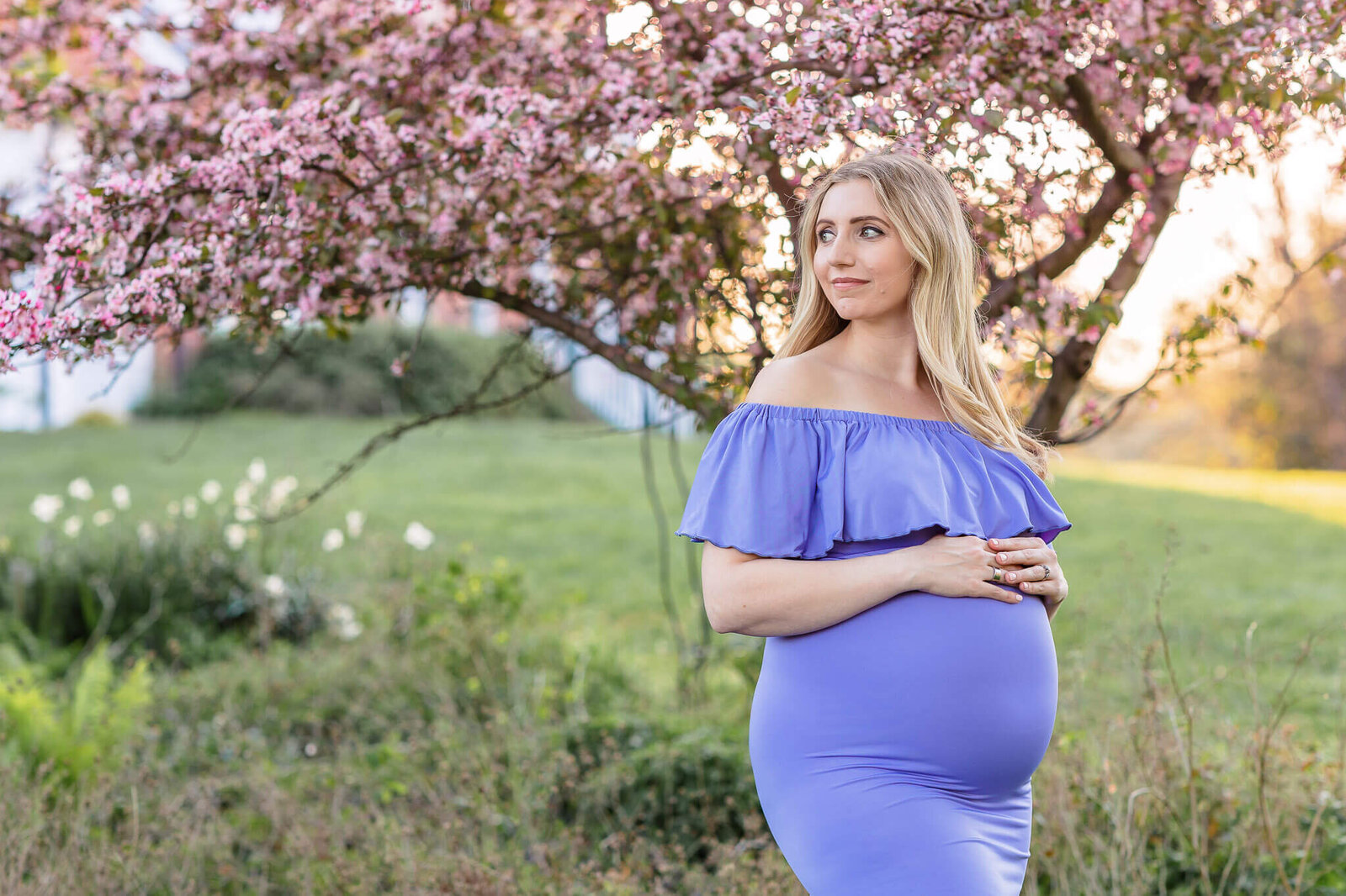 An expecting mom in a purple dress hugging her belly in front of a blossoming tree.