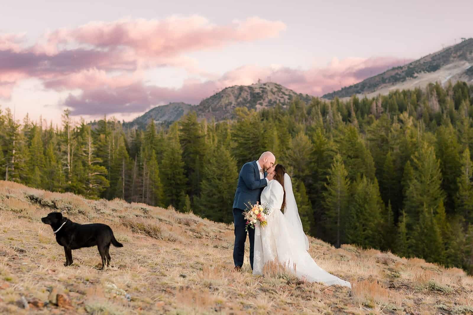 A bride and groom share a kiss at sunset, with their dog nearby.