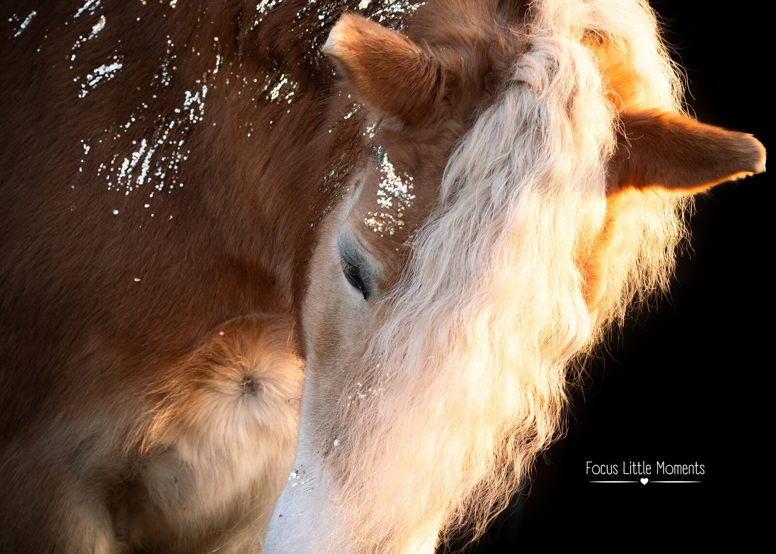 _DSC1073-bewerkt