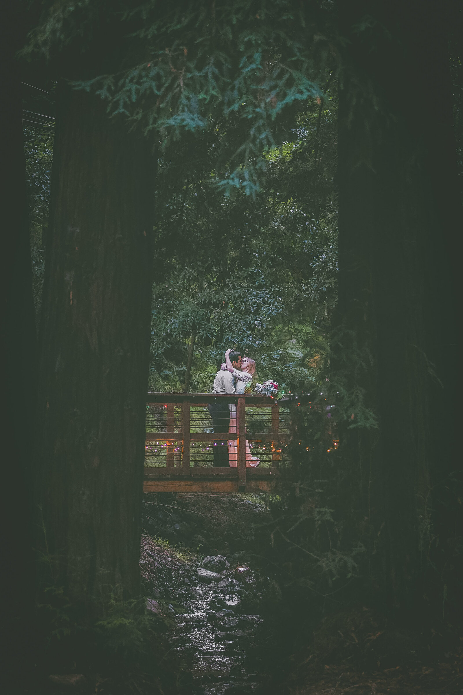 Couple embraces and kiss in the middle of redwood trees.