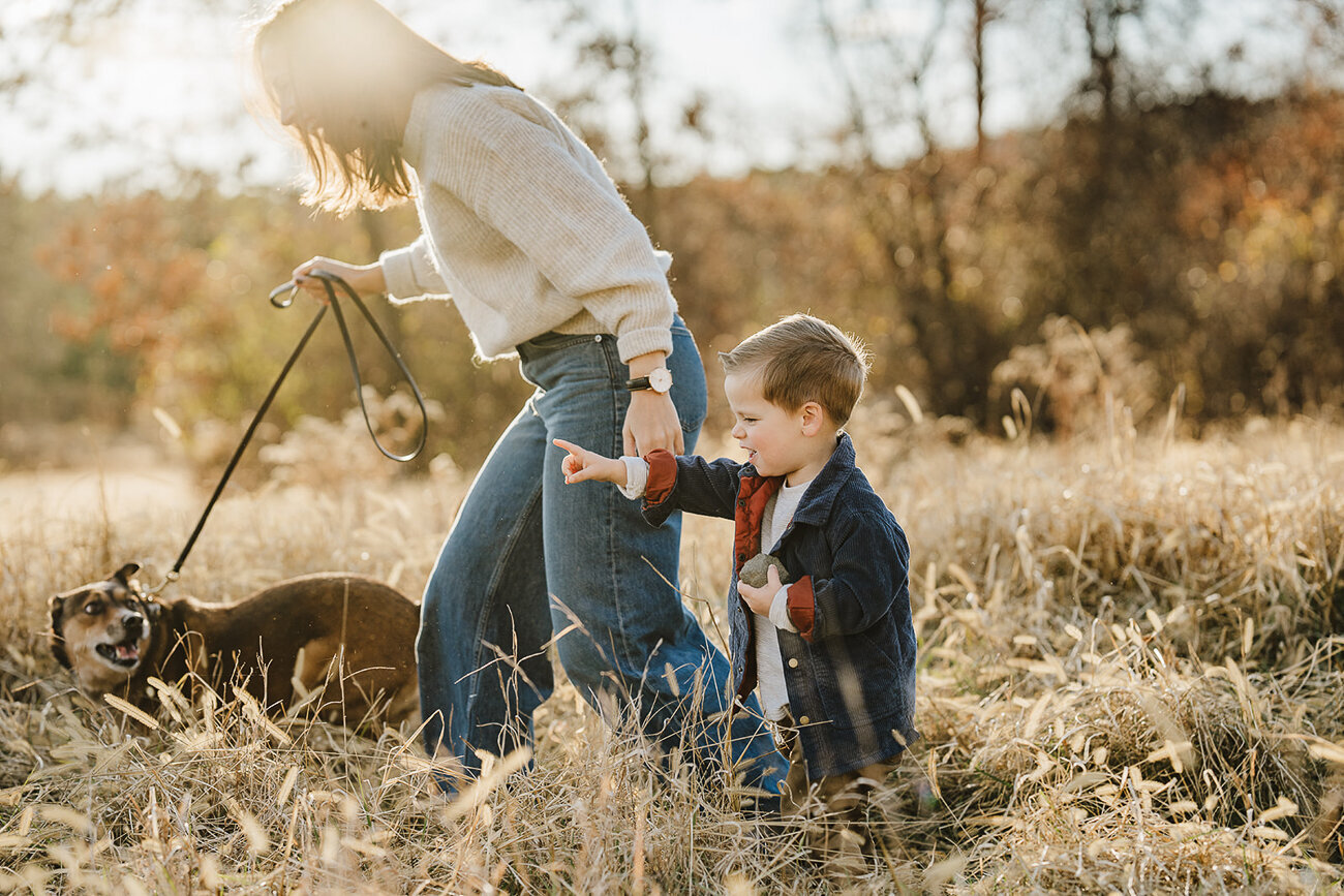 mother, dog, and toddler son explore a boston field at sunset