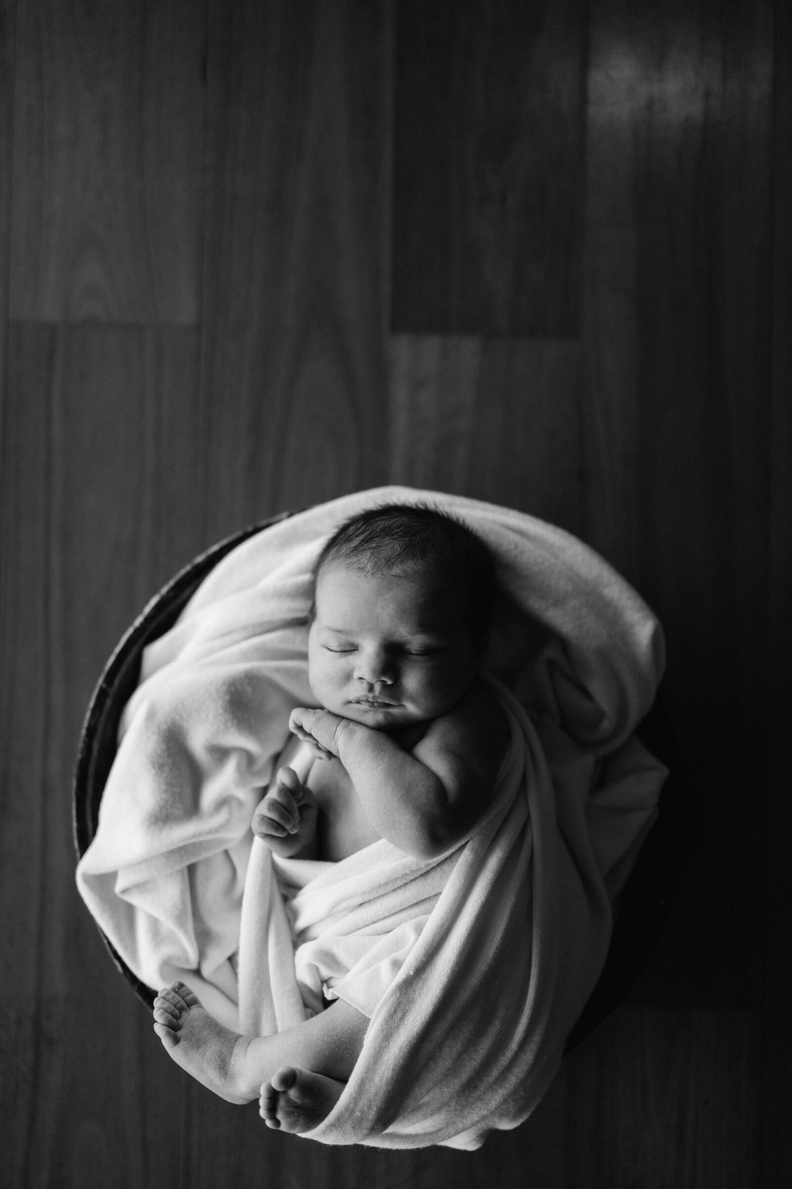 Harper newborn, Felicity Seaman, July 2024-56