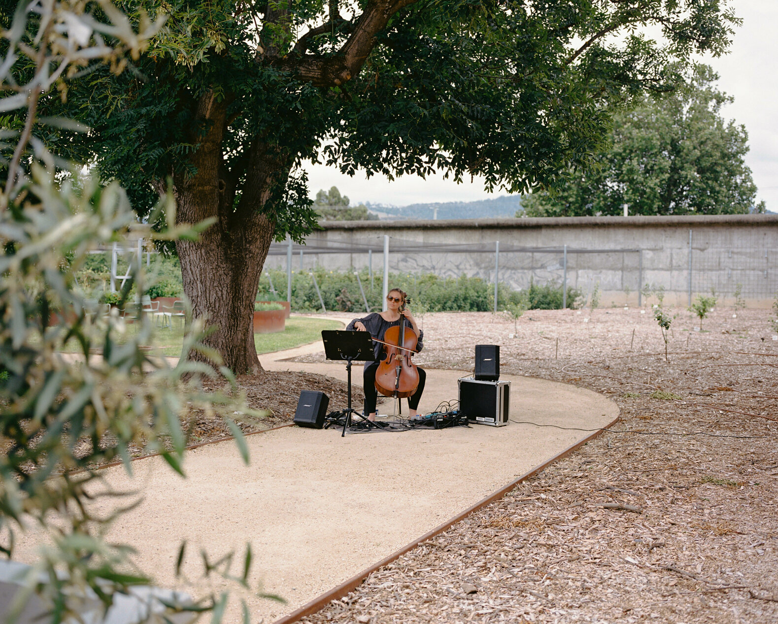 Australia-Film-Wedding-Photographer_Zara_Staples-14