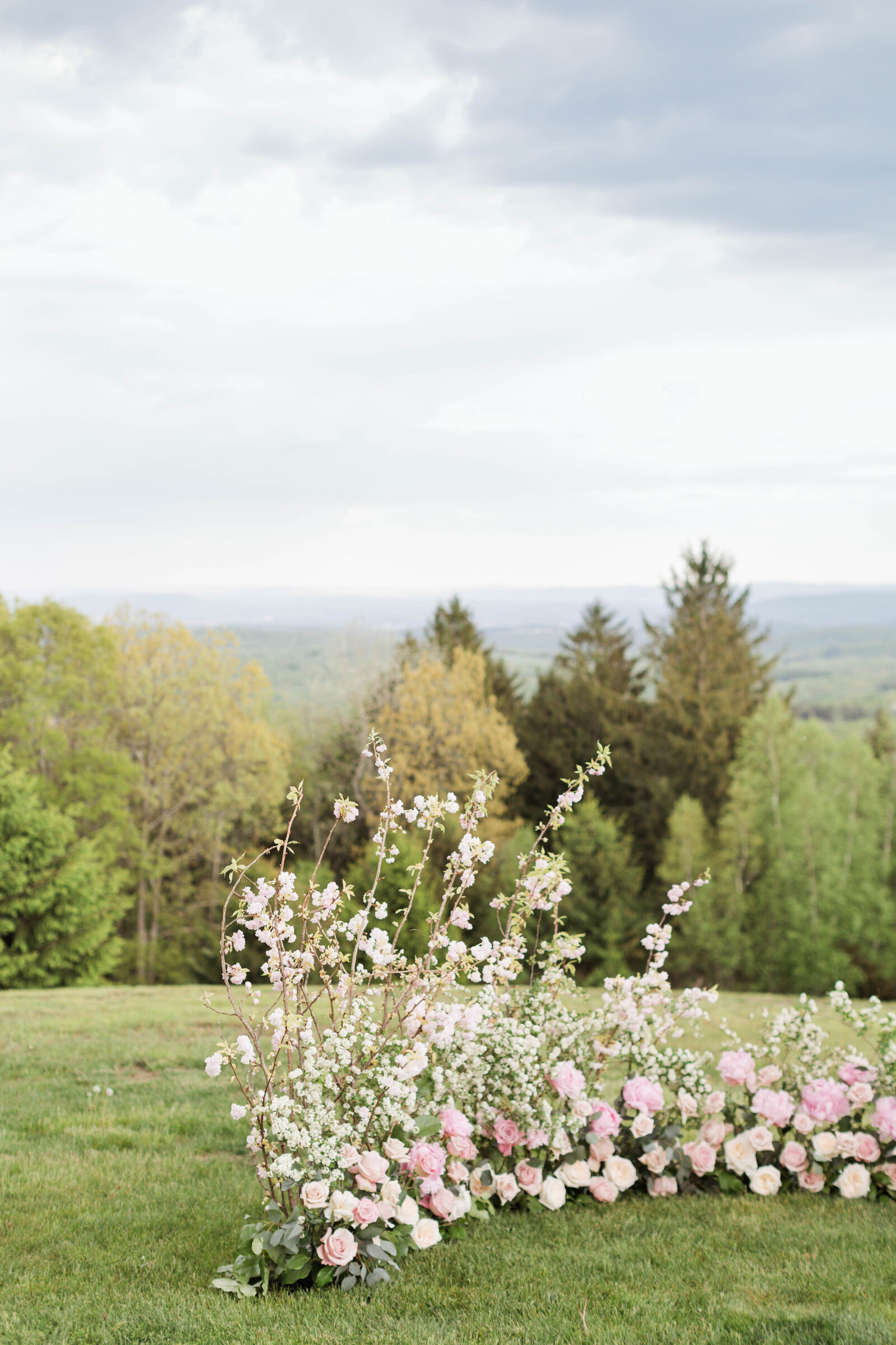 Cedar Lakes Estate Sneaks-77