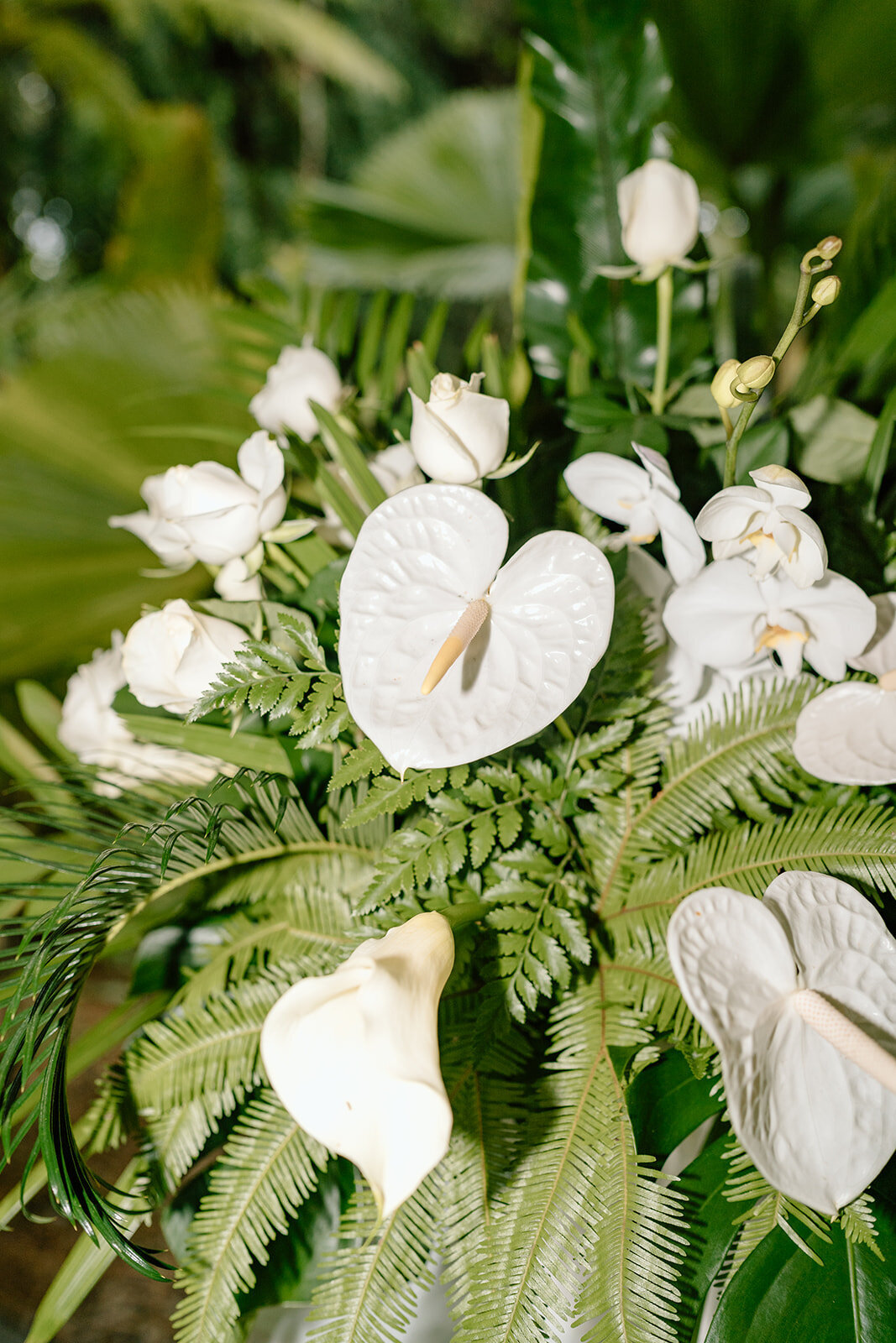 Lia&Travis-Coast&Pines-426