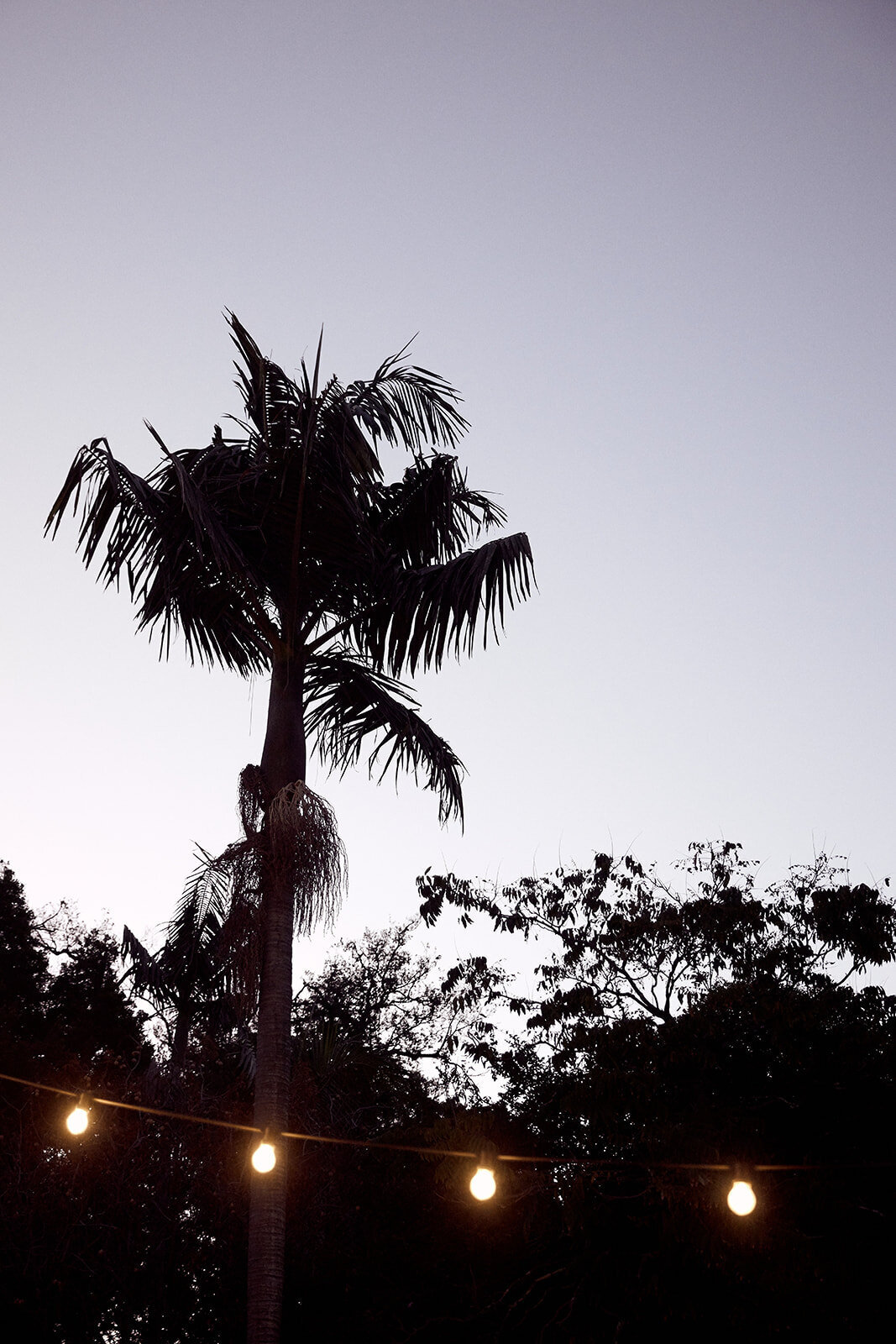 20240315_Jacqui+Alex_Madforyou_Creative_0792