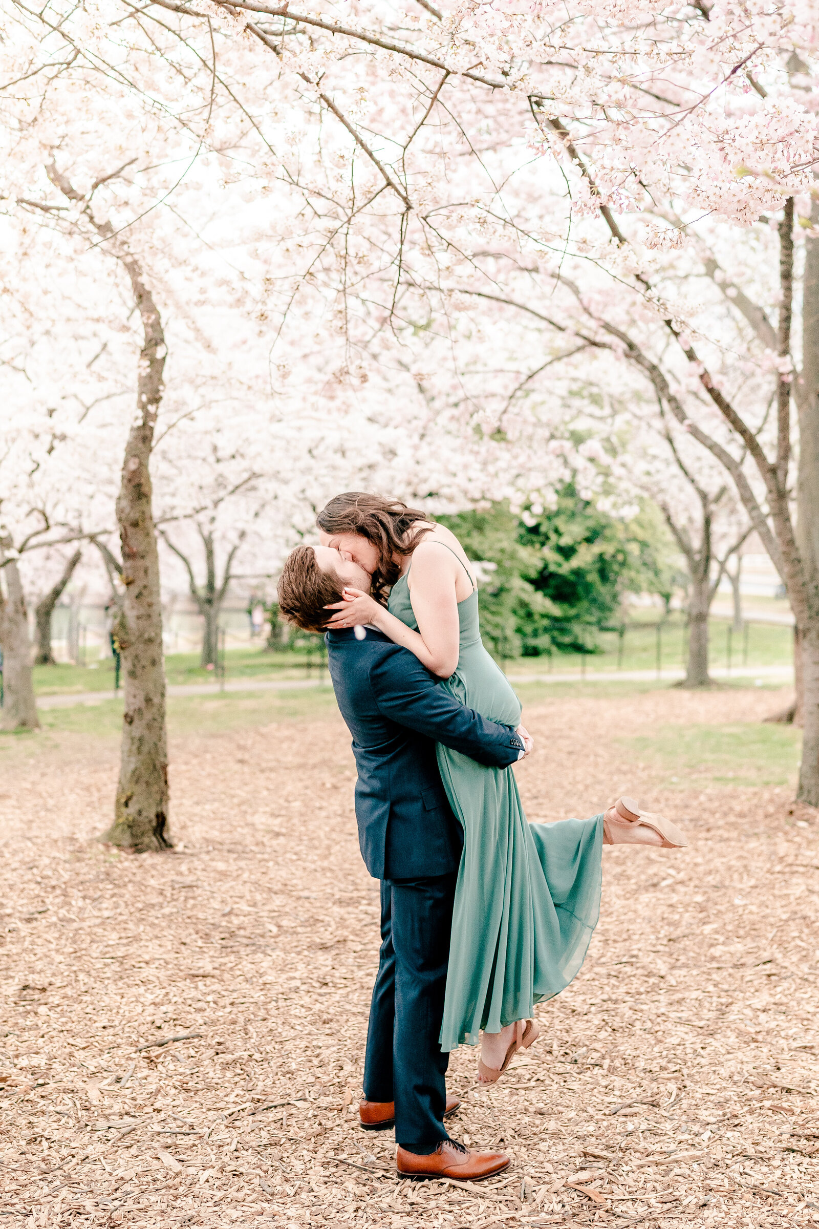 An engaged couple shares a kiss under cherry blossoms during their engagement session in Washington DC
