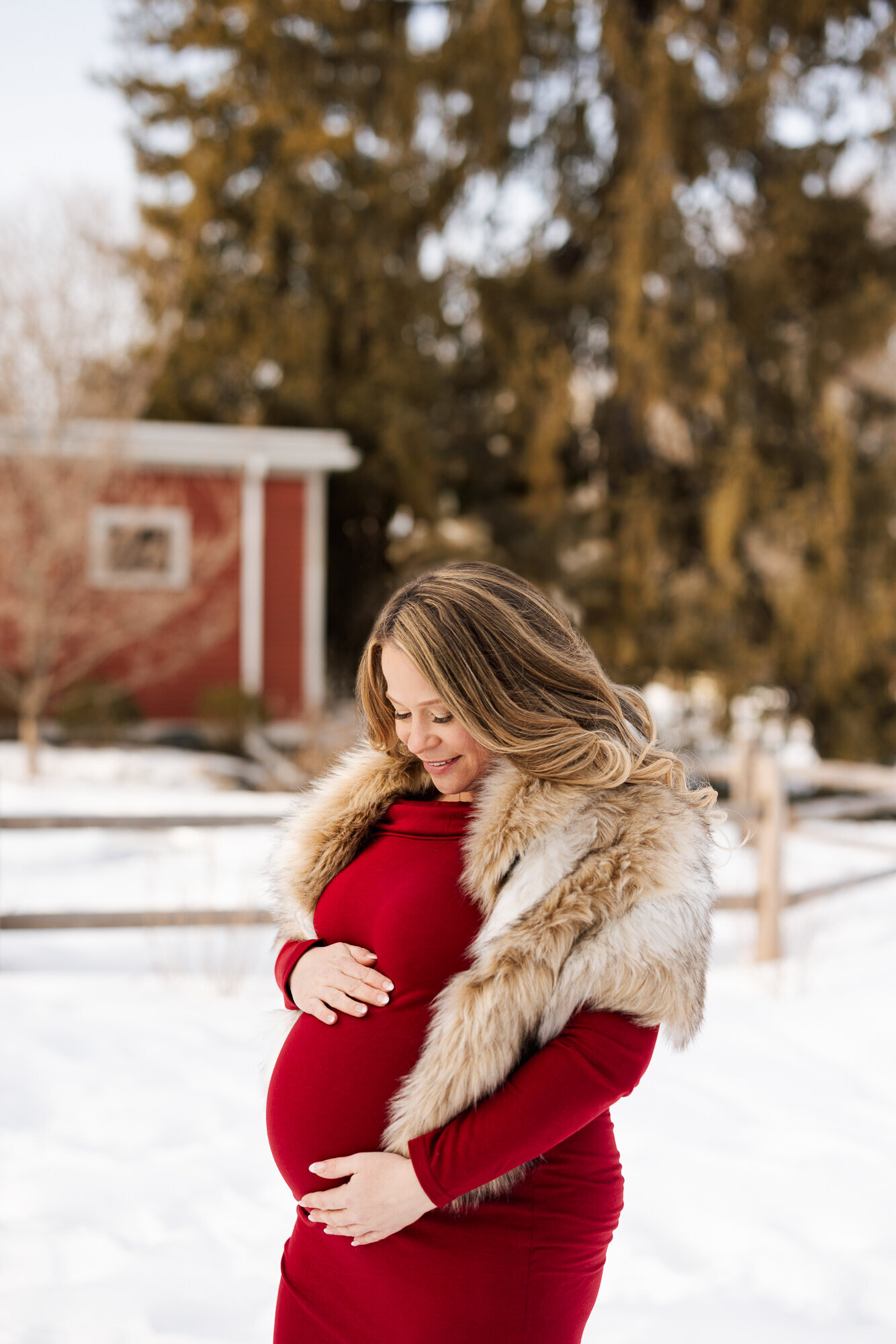 Boston-Newborn-Photographer-Alana-Sousa--11