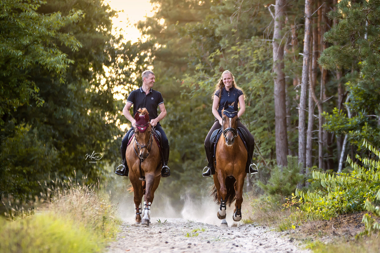 paardenfotograaf friesland (3)