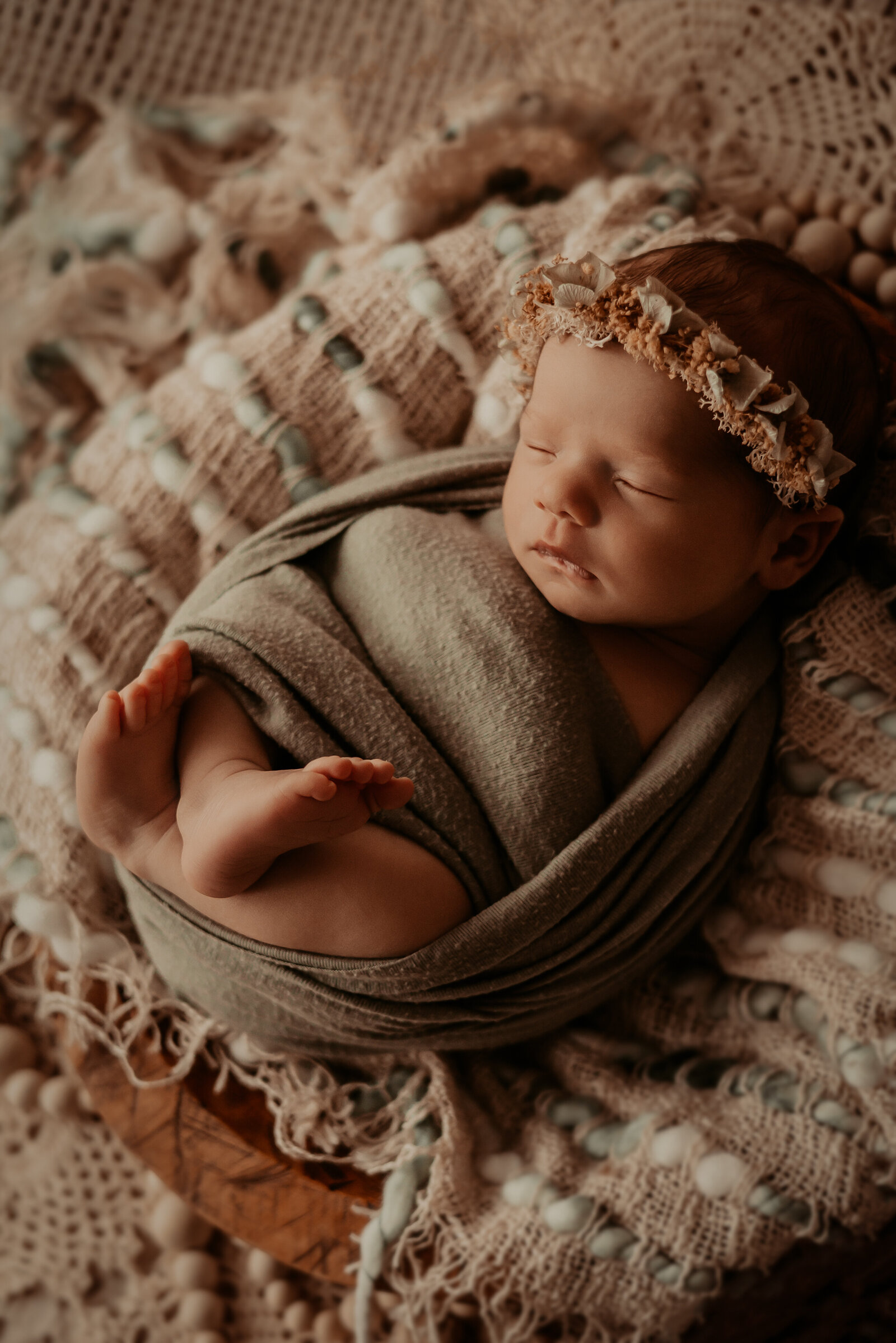 newborn photographer minneapolis minnesota - amanda nicholle photogrphy