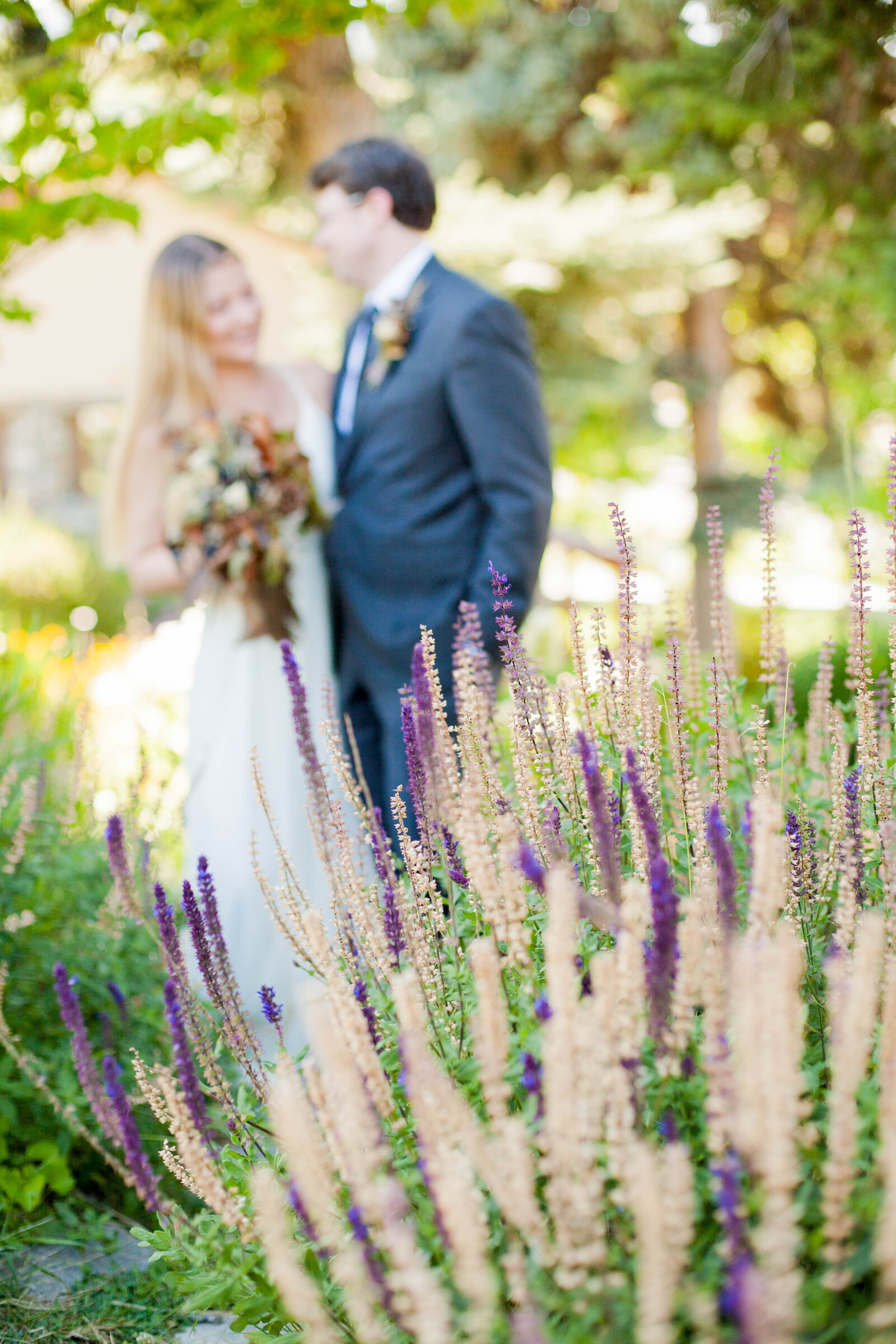 A married couple embracing in front of lavender.
