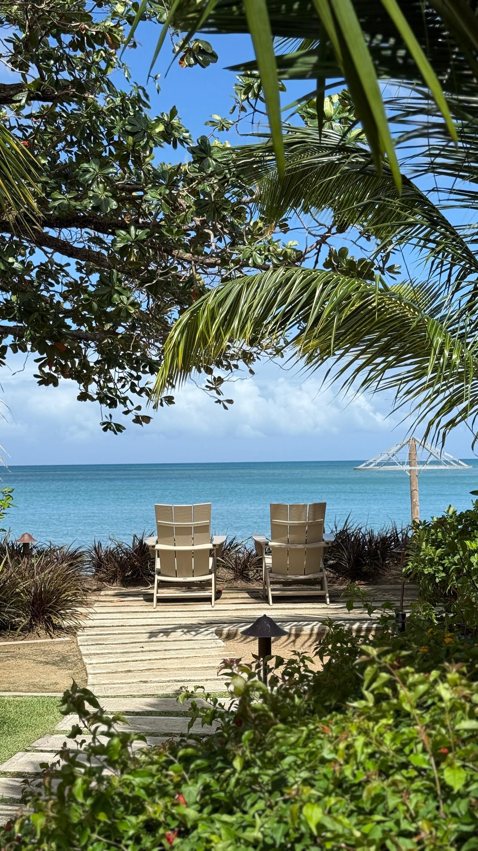 halcyon chairs by beach