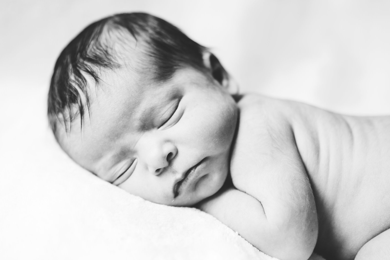 Sebastian-4