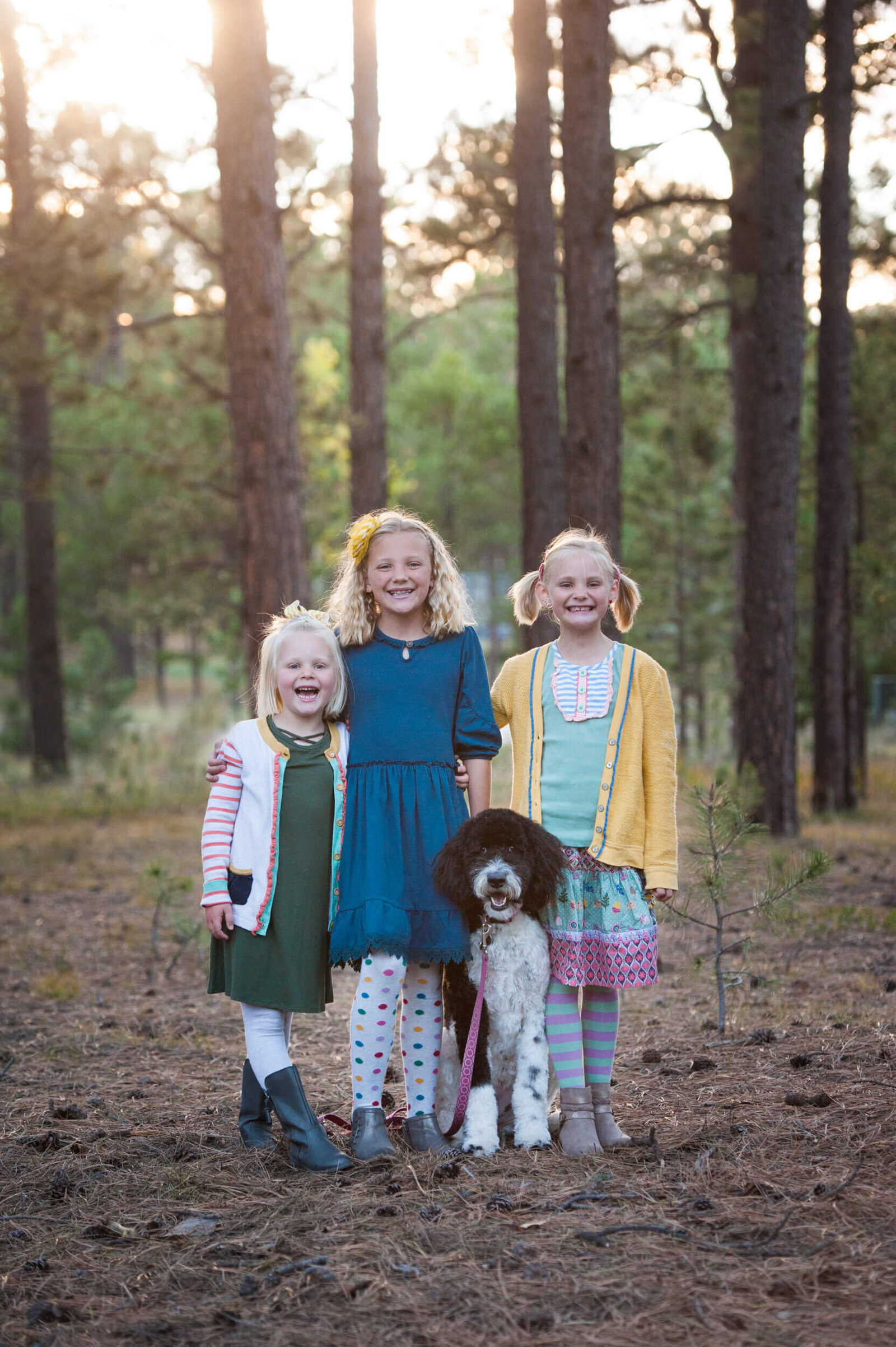 An image from a Denver family photographer of three toddler sisters smiling with their adorable dog in a pine forest at sunset