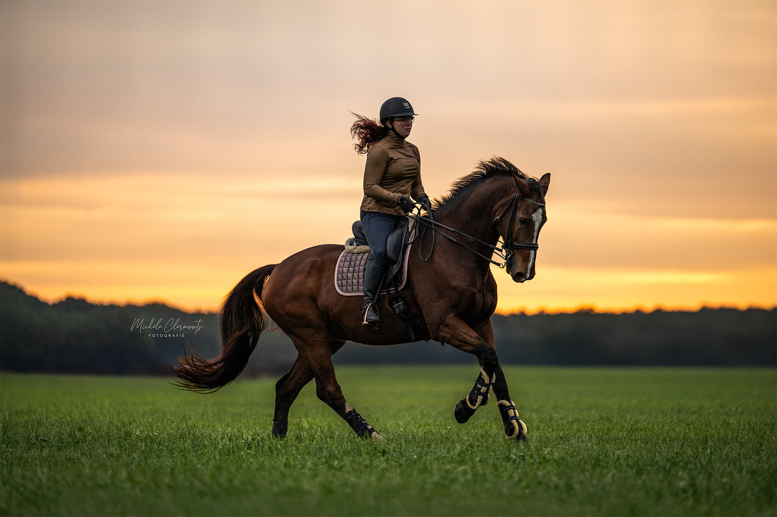 DSC_8143-paardenfotografie-michele-clermonts-fotografie