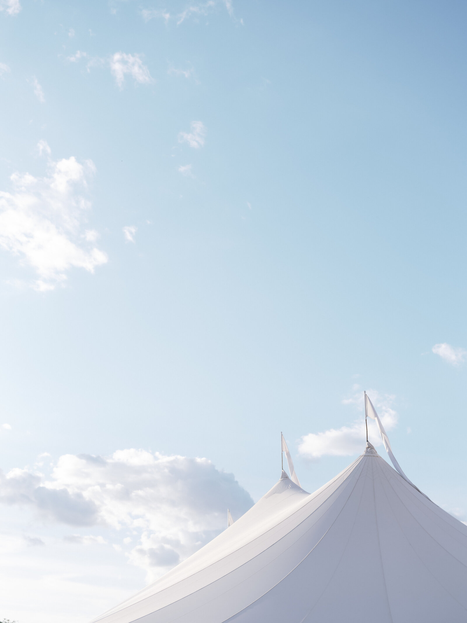 CaitlinDan_AbejaWeddingPreview_023