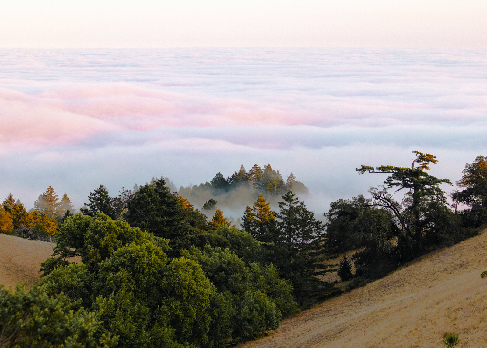 California State Park