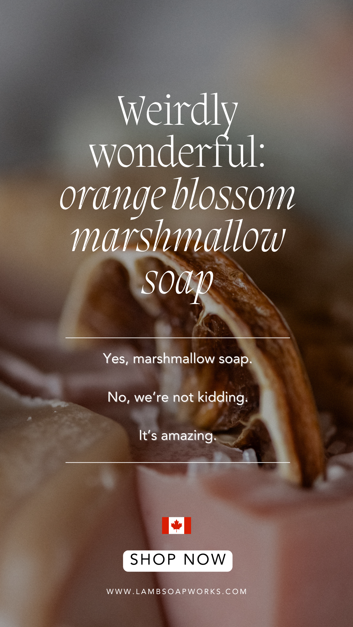 soap-company-pinterest-management (17)