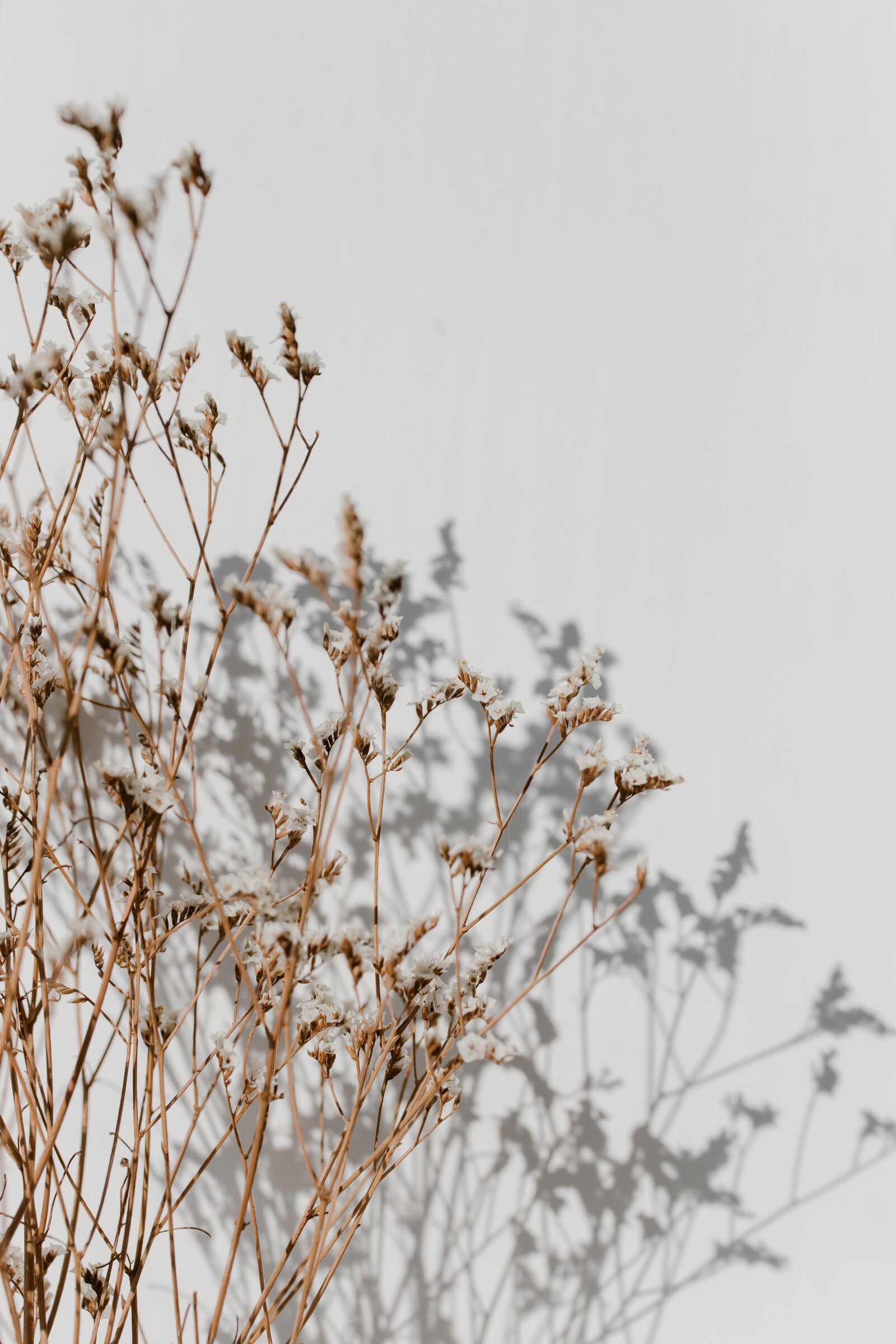 pexels-cottonbro-6692613