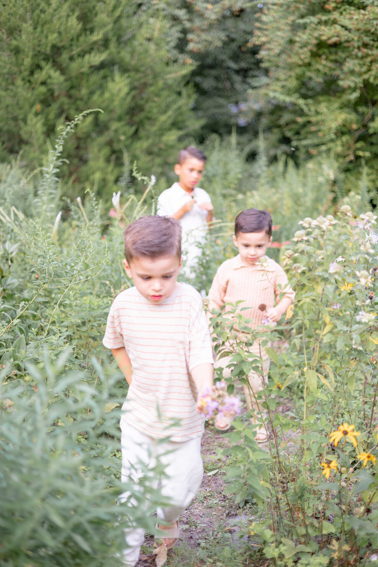 Three young brothers walking through a lush field of wildflowers during a candid outdoor family photography session in Fairfield County, Connecticut. Natural, documentary-style moment highlighting sibling connection and summertime exploration.