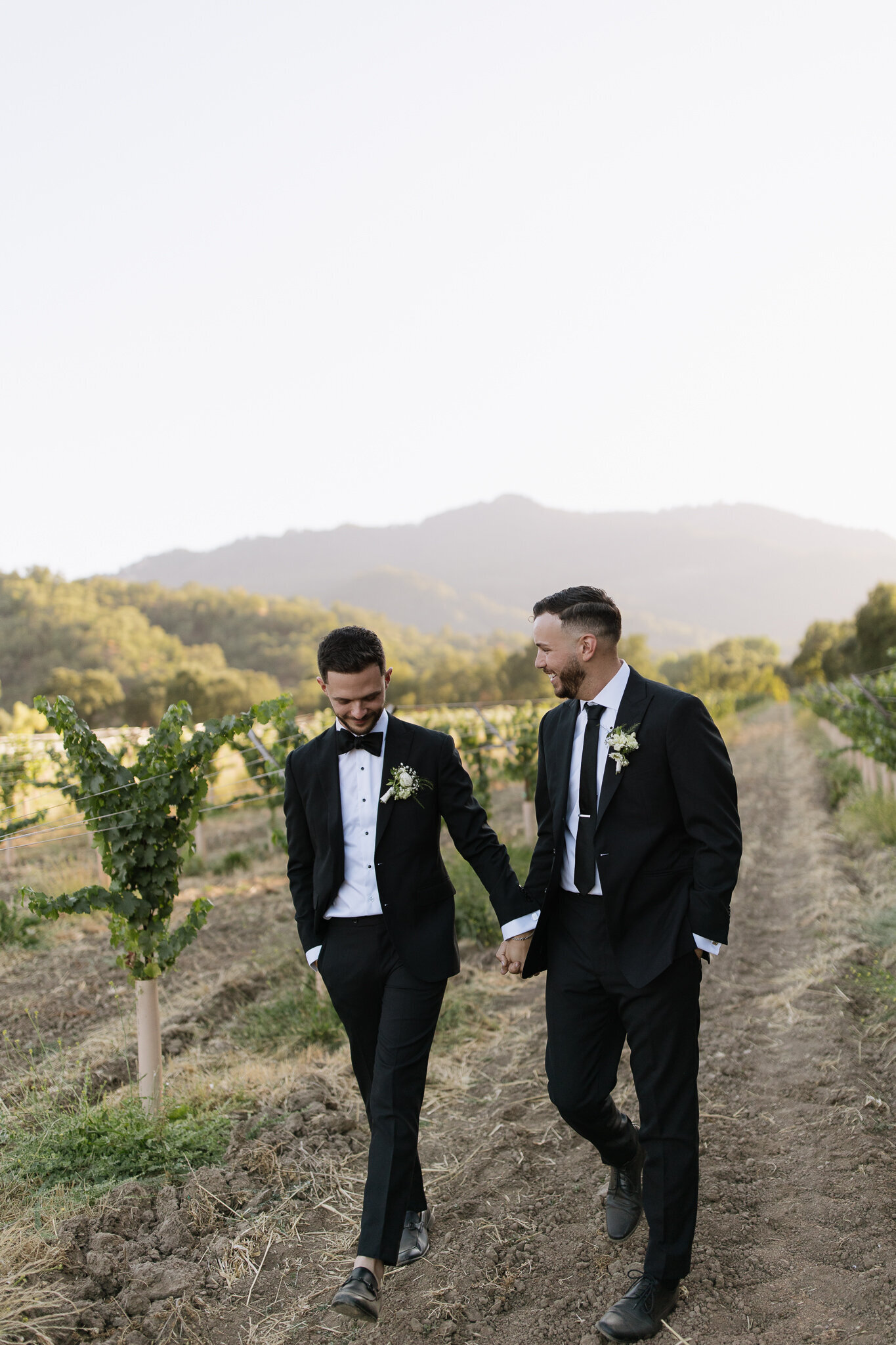 Grooms walk through vineyard at Ukiah, California wedding