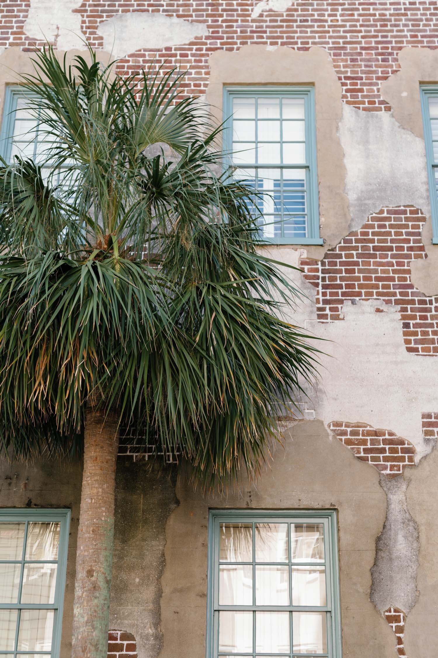 Nell_Gray_Preview-0015