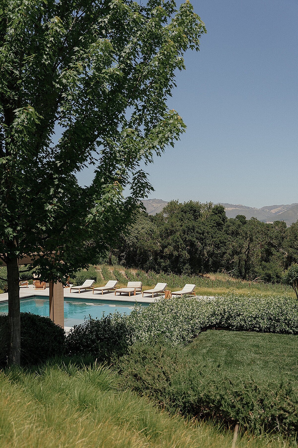 sonoma-vineyard-estate-wedding-1