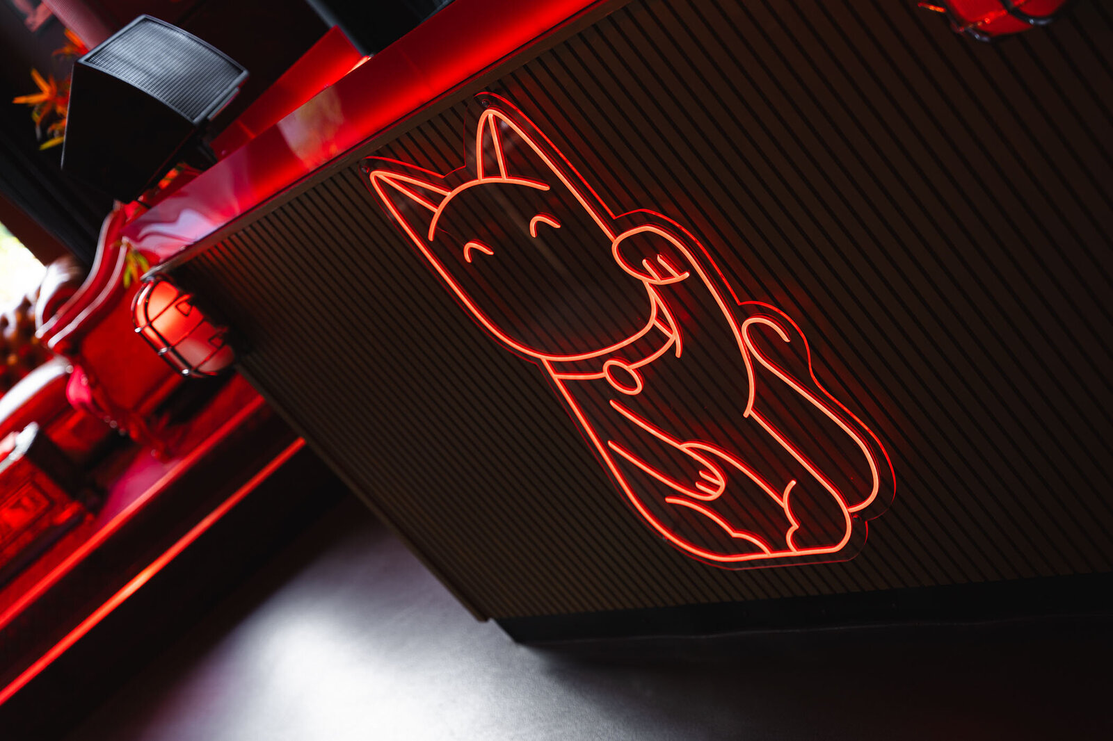 Lucky Cat-39