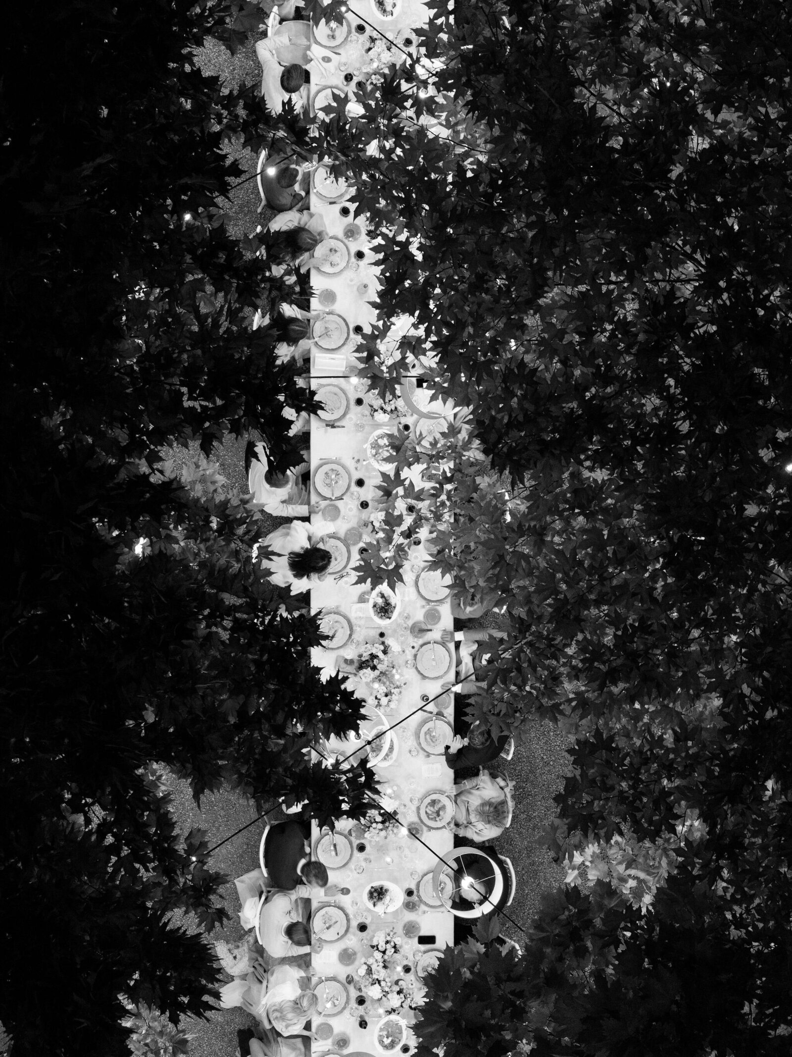 270_manuelle_robin_wedding_preview