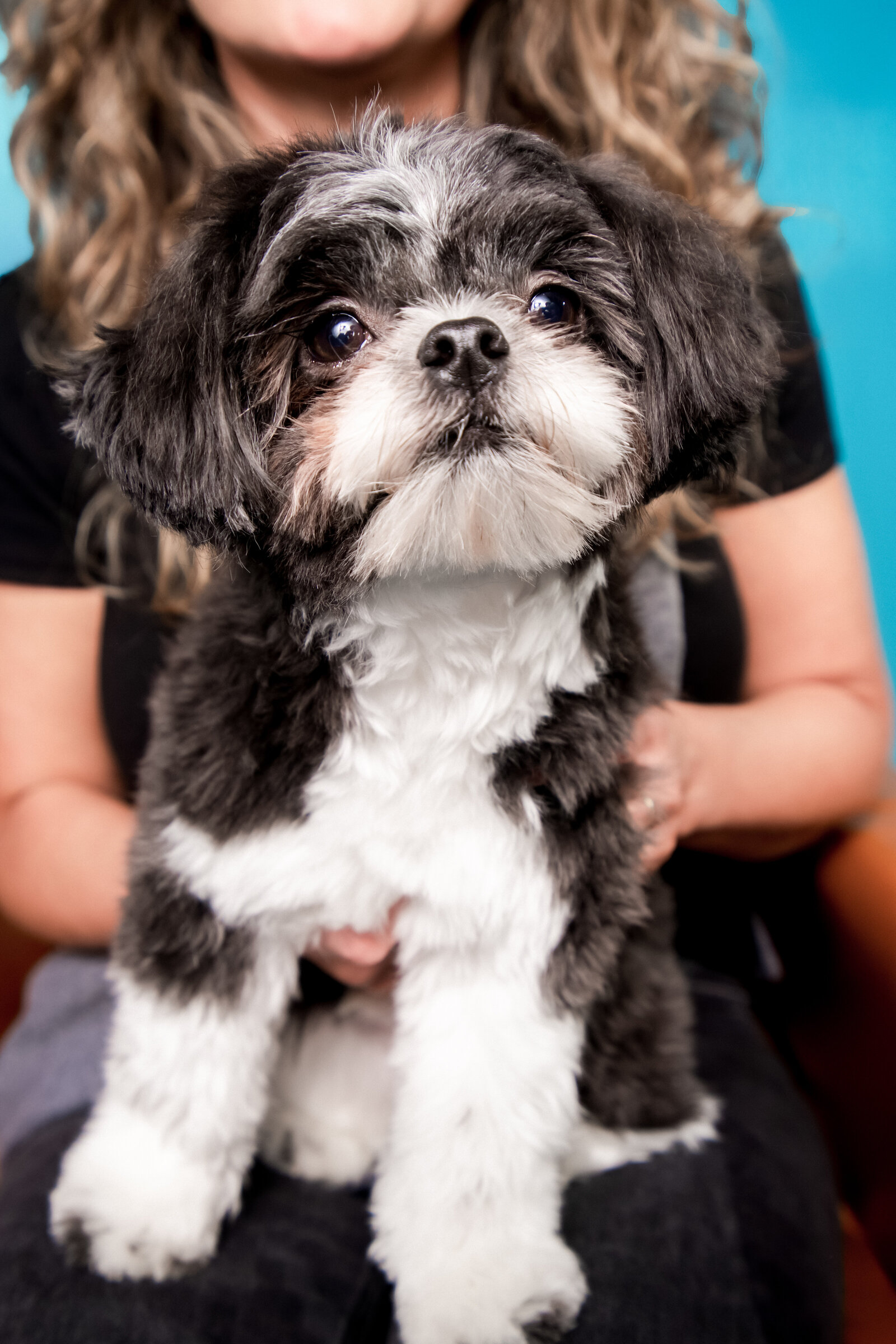 Doggy Casting Call-(93 of 104)