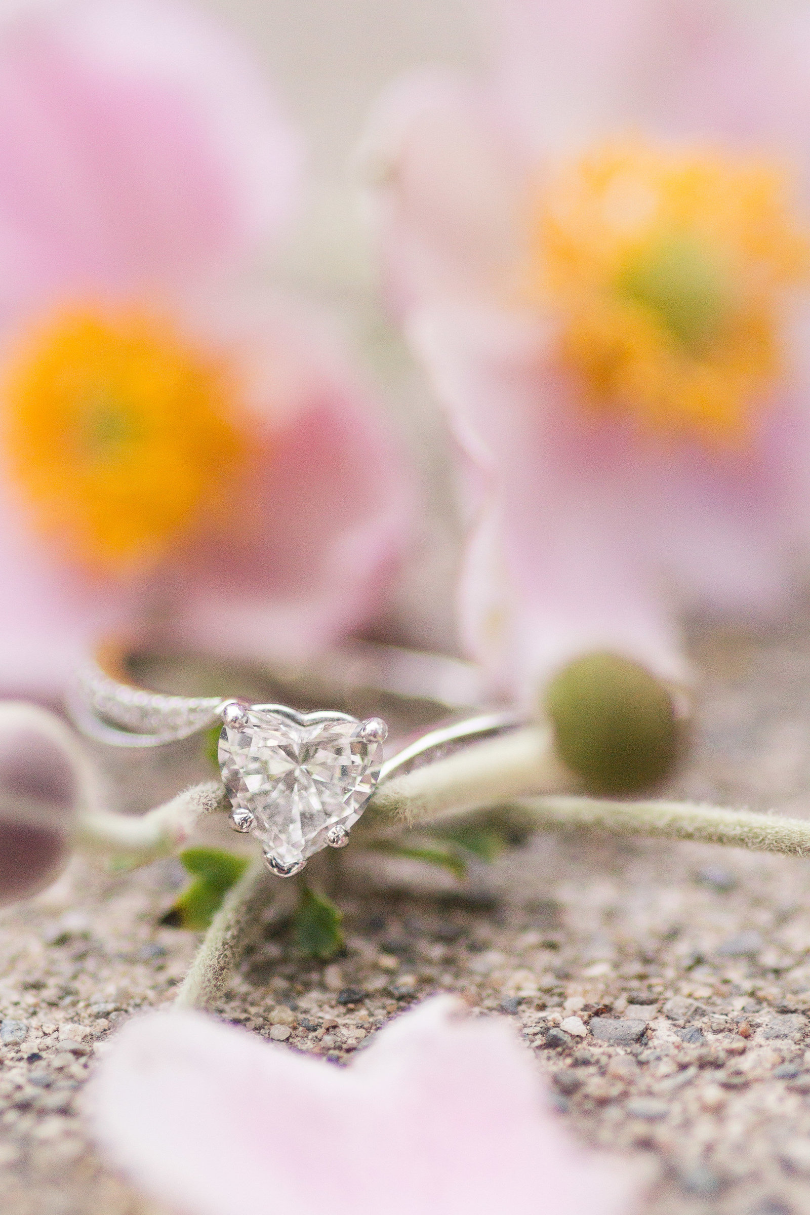 Jackie and Isaac - 46